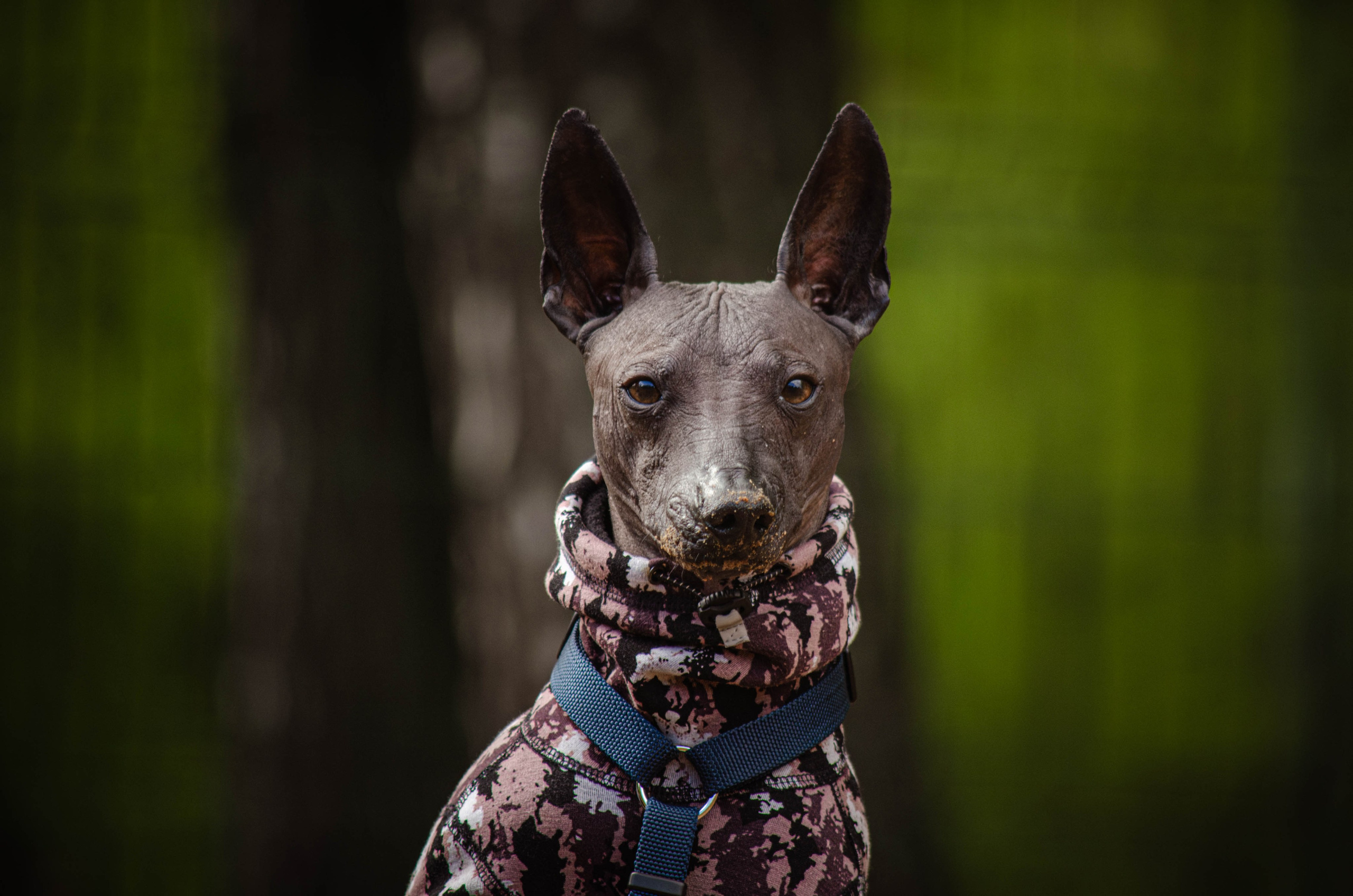 Сёма. Фотограф Светлана Блинова, Москва и Московская область