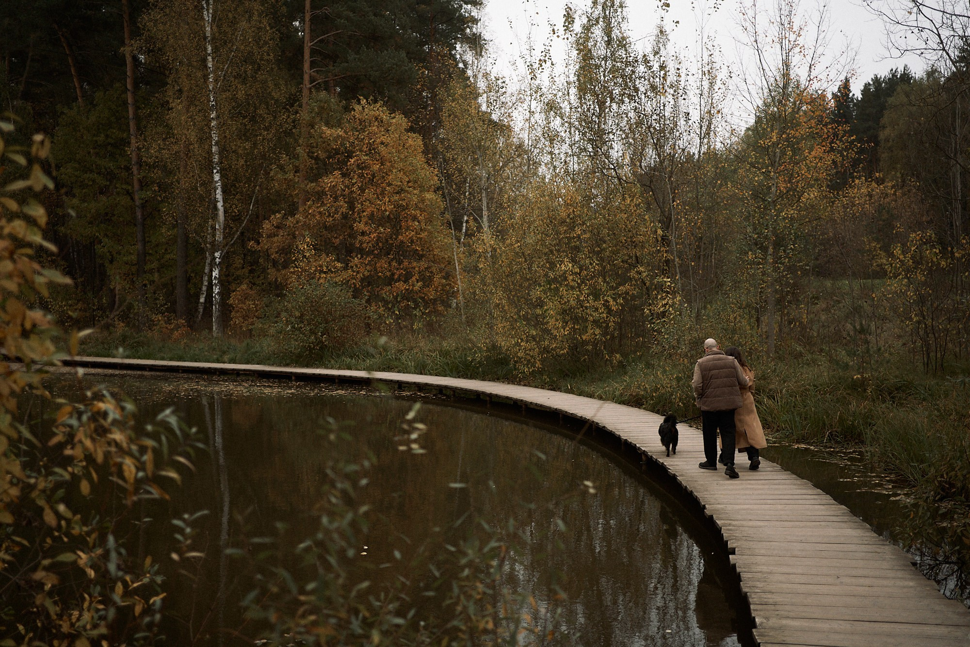 Осенью любить. Фотограф анималист Москва Дарья