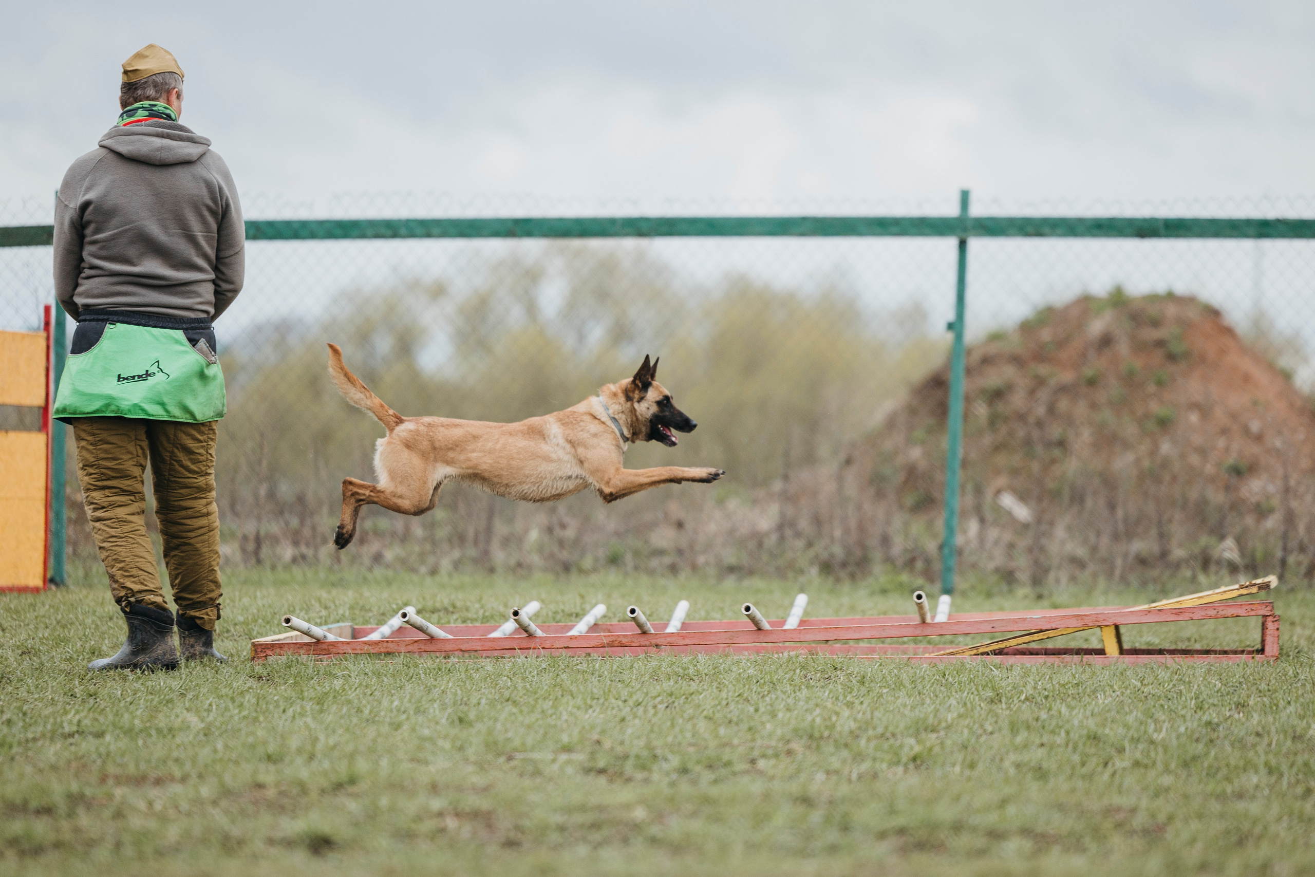 09.05.25 Вологда соревнования. Фотограф-анималист Анна Маринич