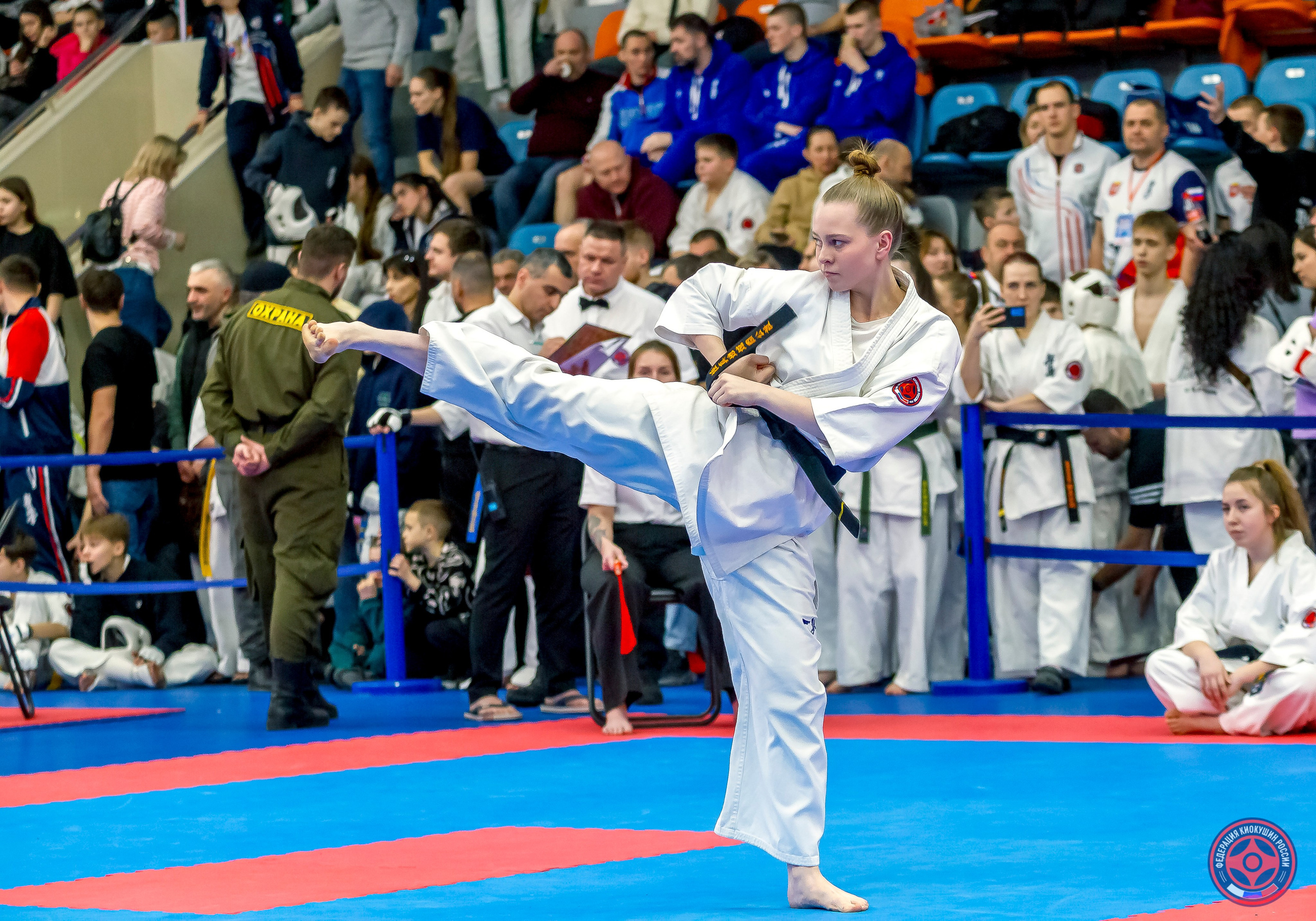 Международный турнир по киокушин «Открытый кубок Seiken». Репортажная съемка в Москве и области. Анималистика