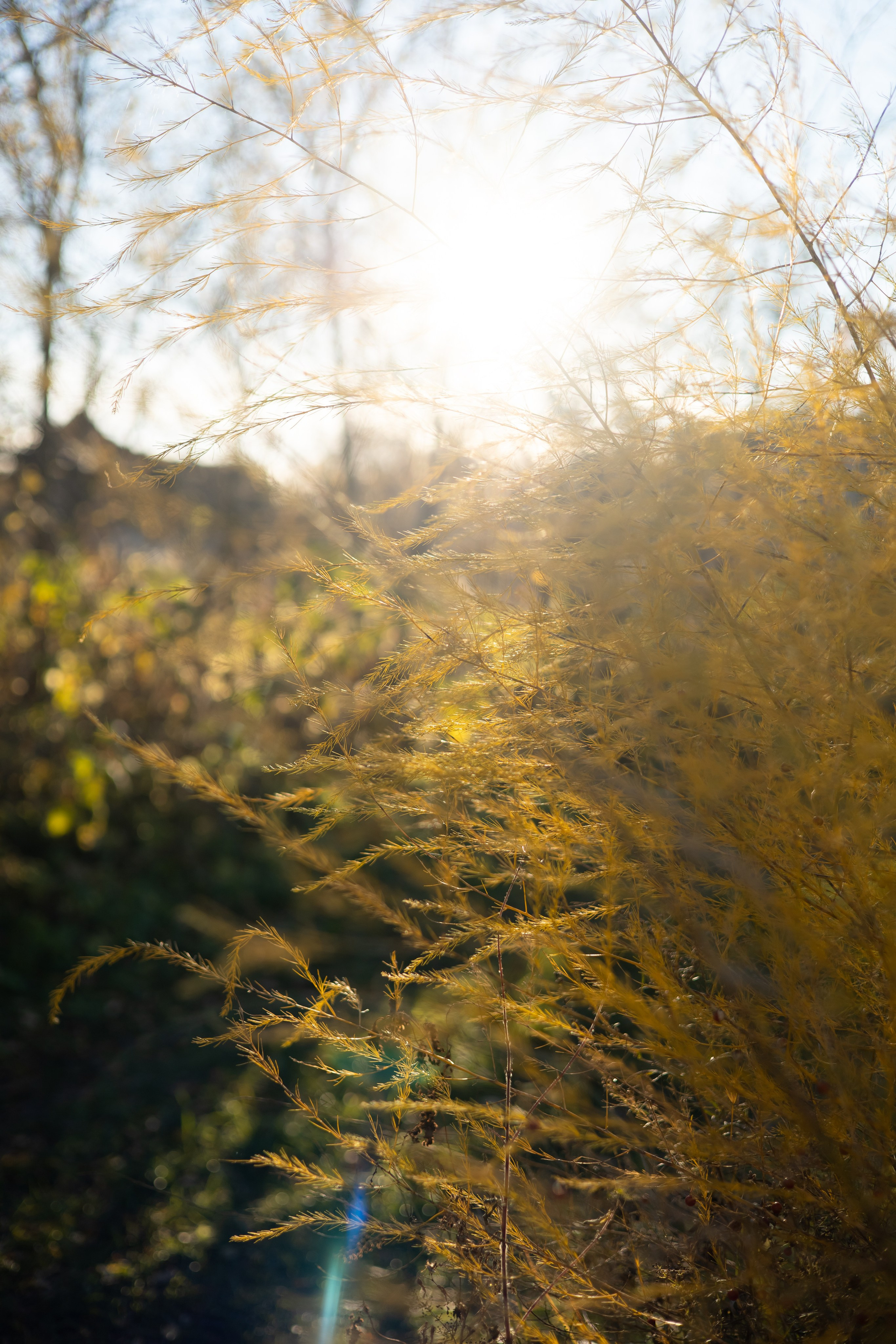 Ляйсан и Антон. Фотограф Элла Ефимова