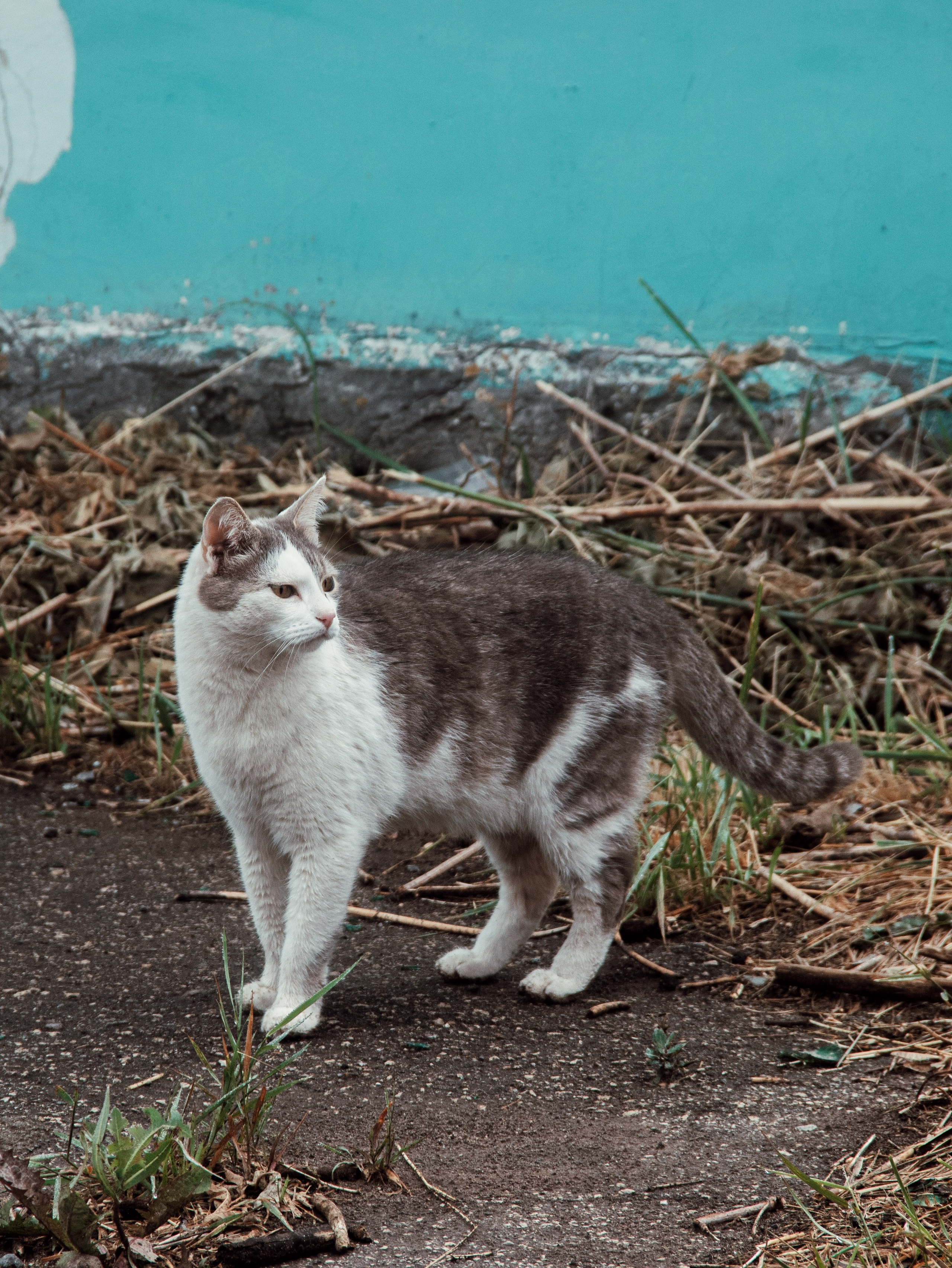 Уличные модели. С любовью, фотохудожник