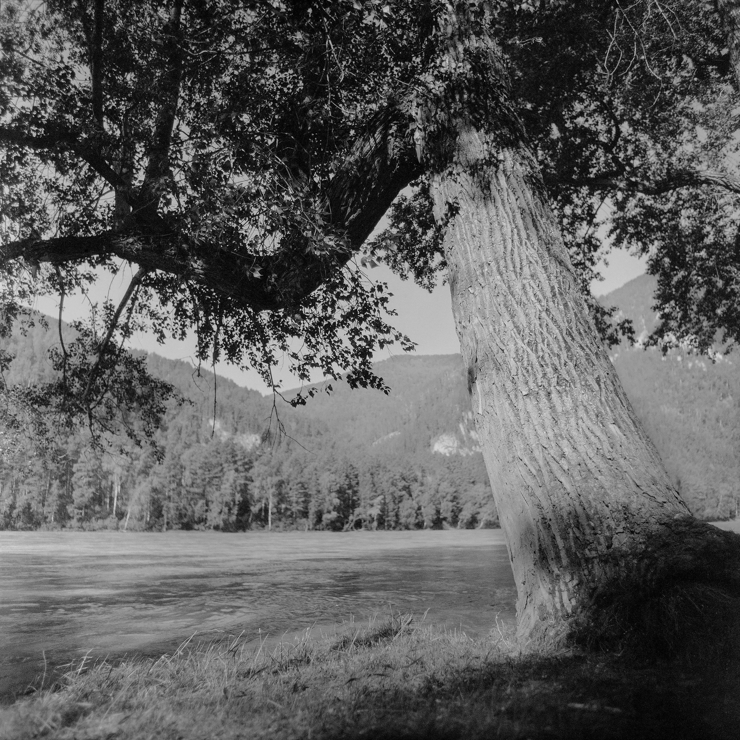 Пейзажные фотографии Алтая. Портретный и репортажный фотограф. Мыльников Илья
