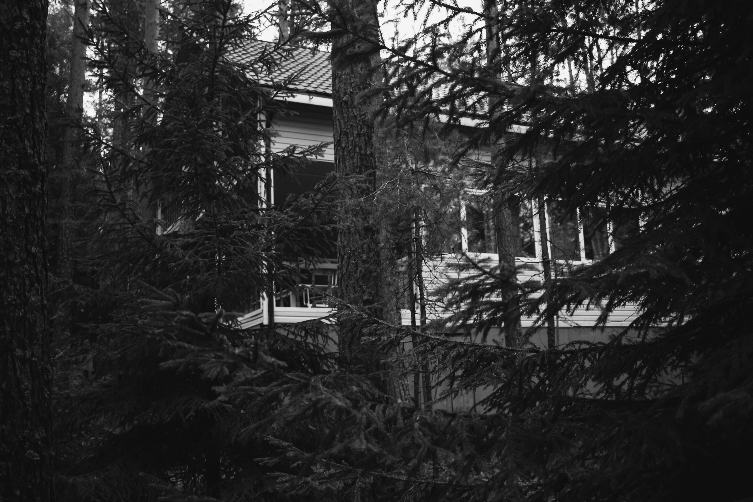 Лес и абстрактность. Портретный фотограф DanilNabody