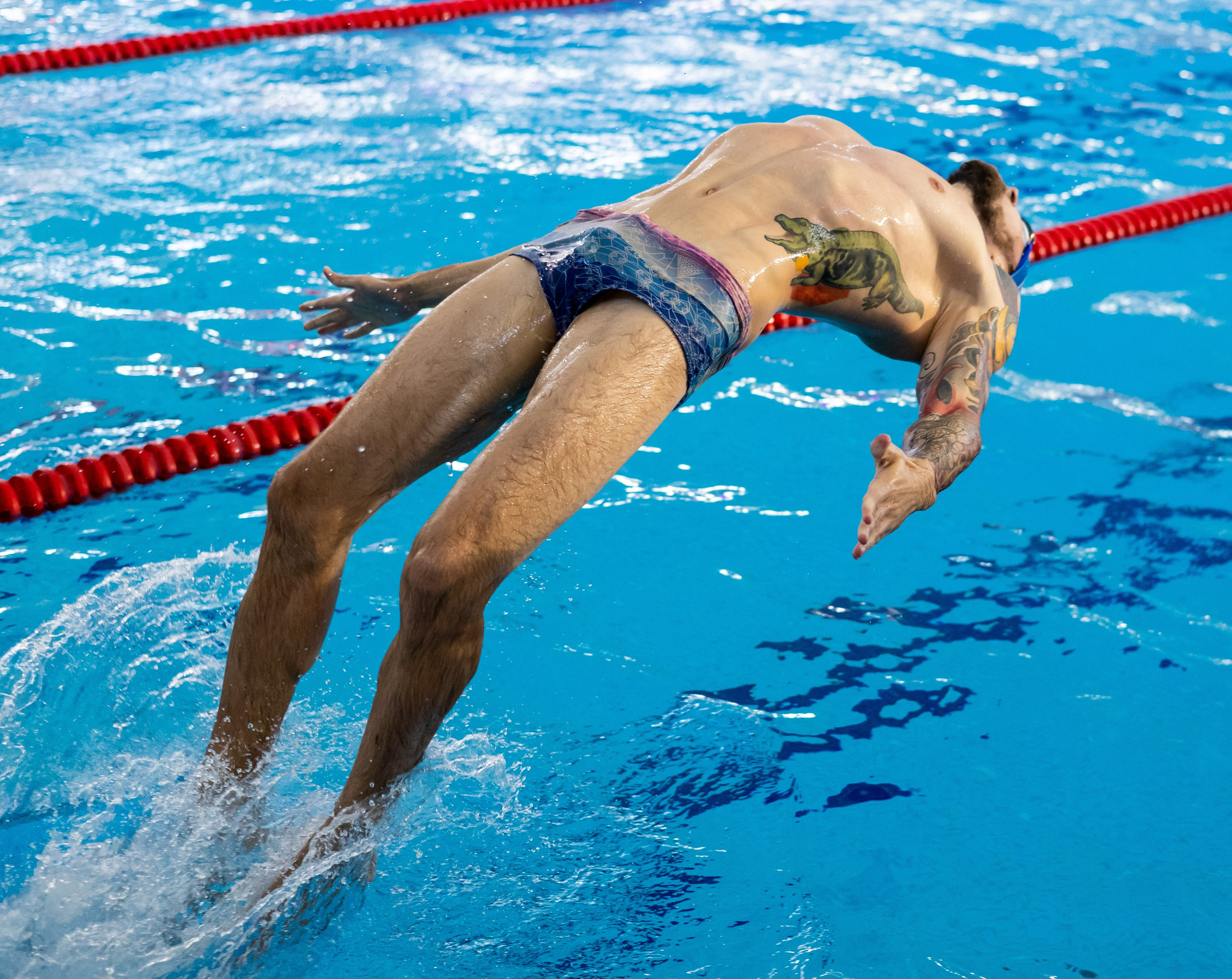 Плавание. Евгений Солодов спортивный фотограф
