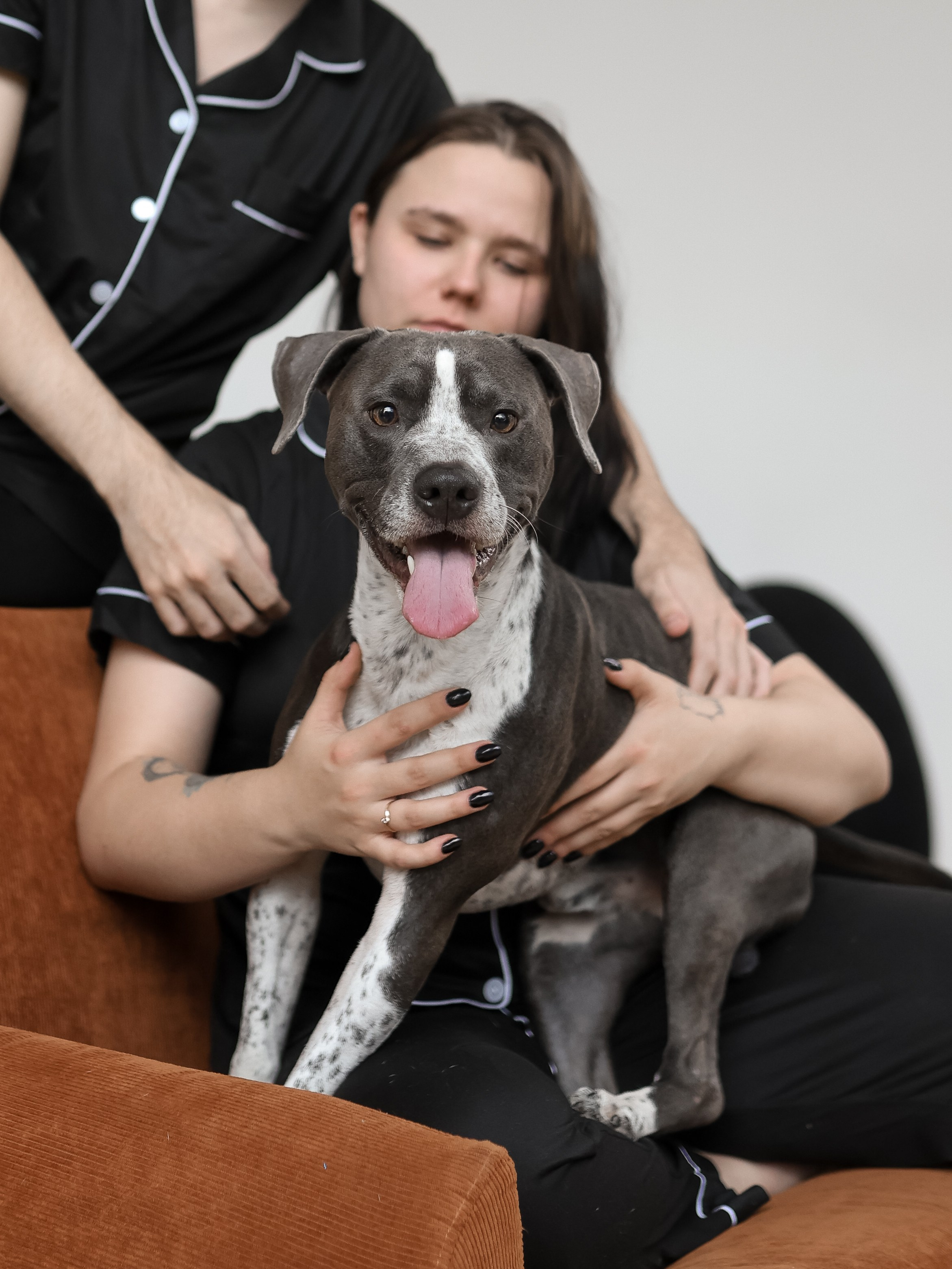 Тортик Даша и Никита. Фотограф-анималист в Москве Кириллова Татьяна