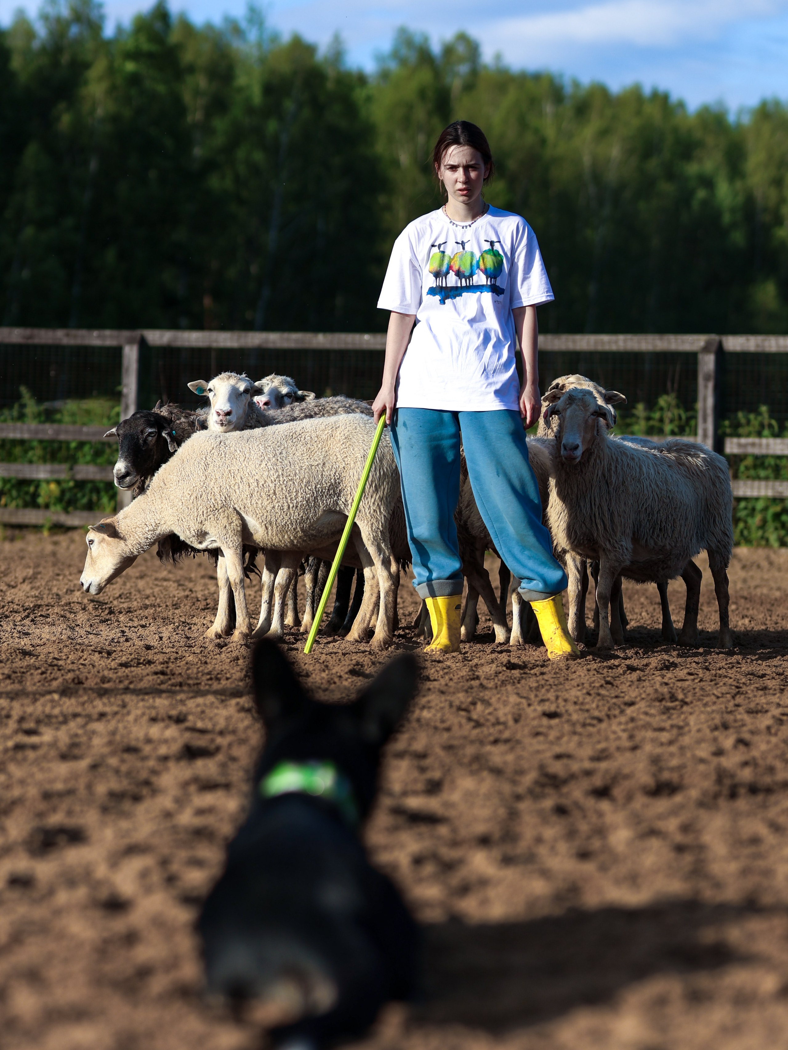 Пастьба. Фотограф-анималист в Москве Кириллова Татьяна