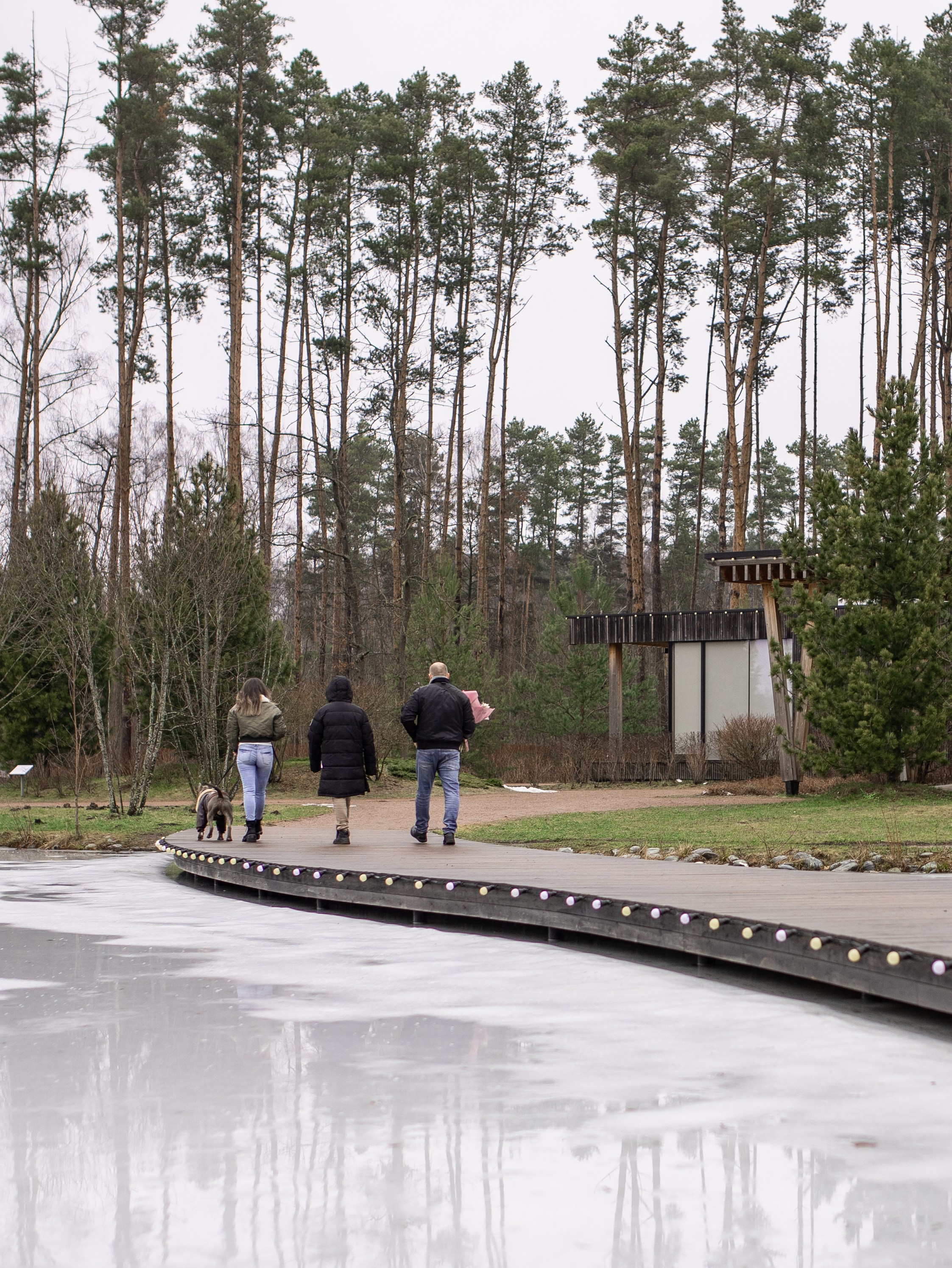 Зевс и Мария. Фотограф-анималист в Москве Кириллова Татьяна