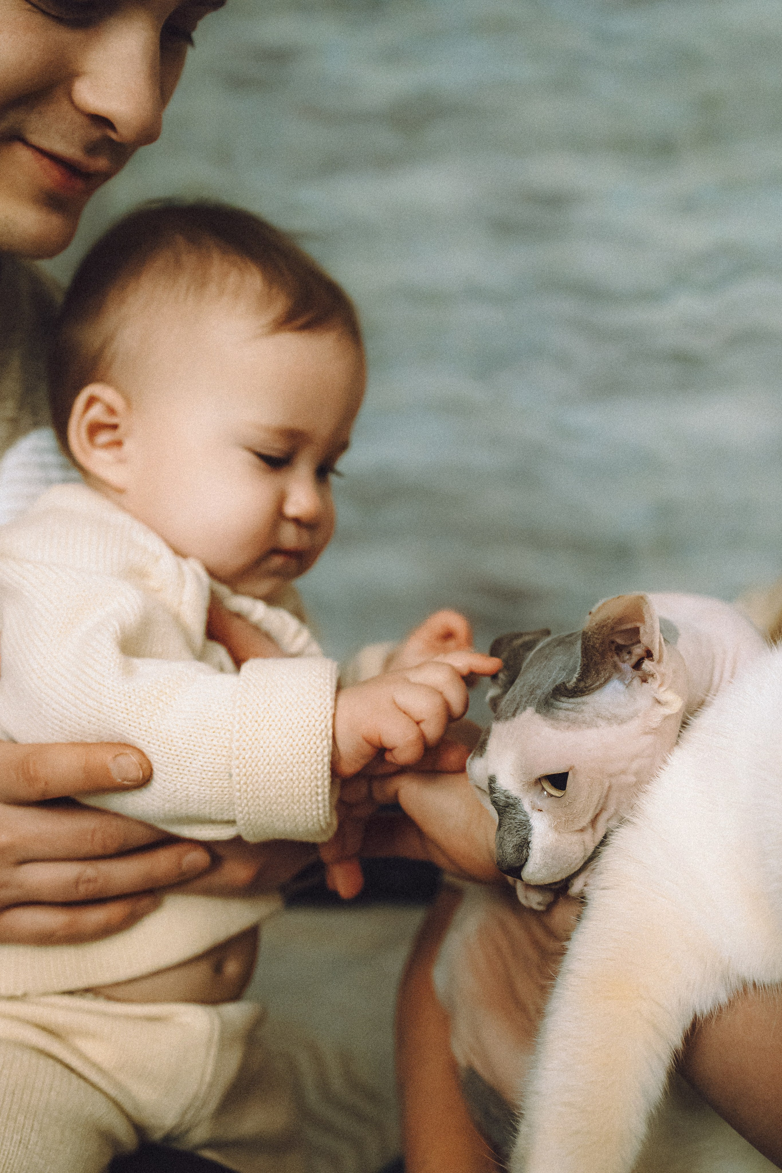 Топик и его семья