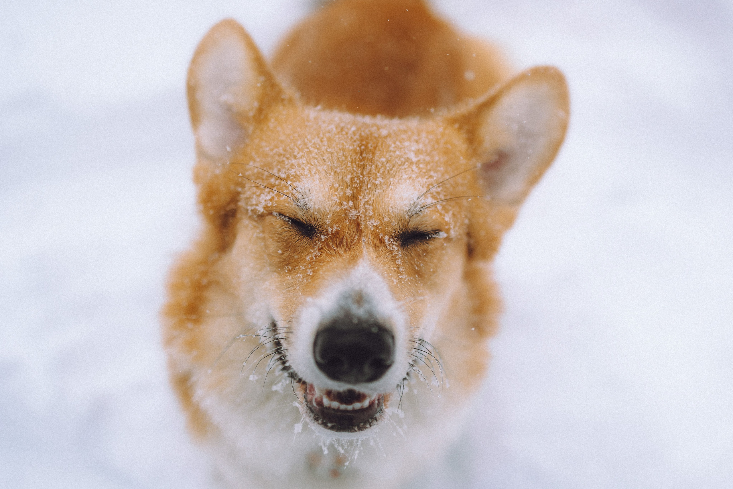 Юля и Юпитер