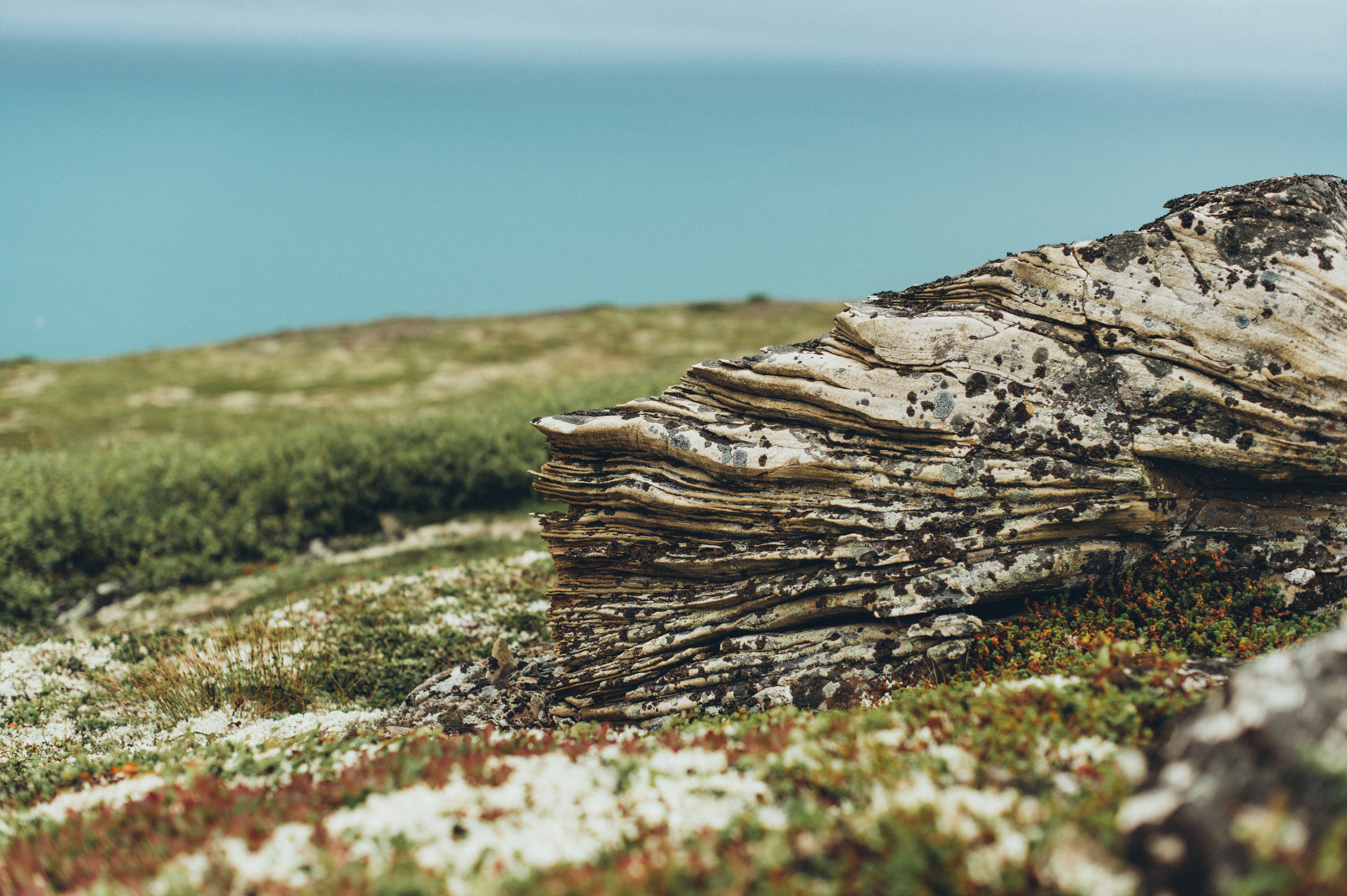 ПРИНТ в наличии и на заказ. Фотограф Наталья Могилевская Мурманск Териберка Сейдозеро Рыбачий