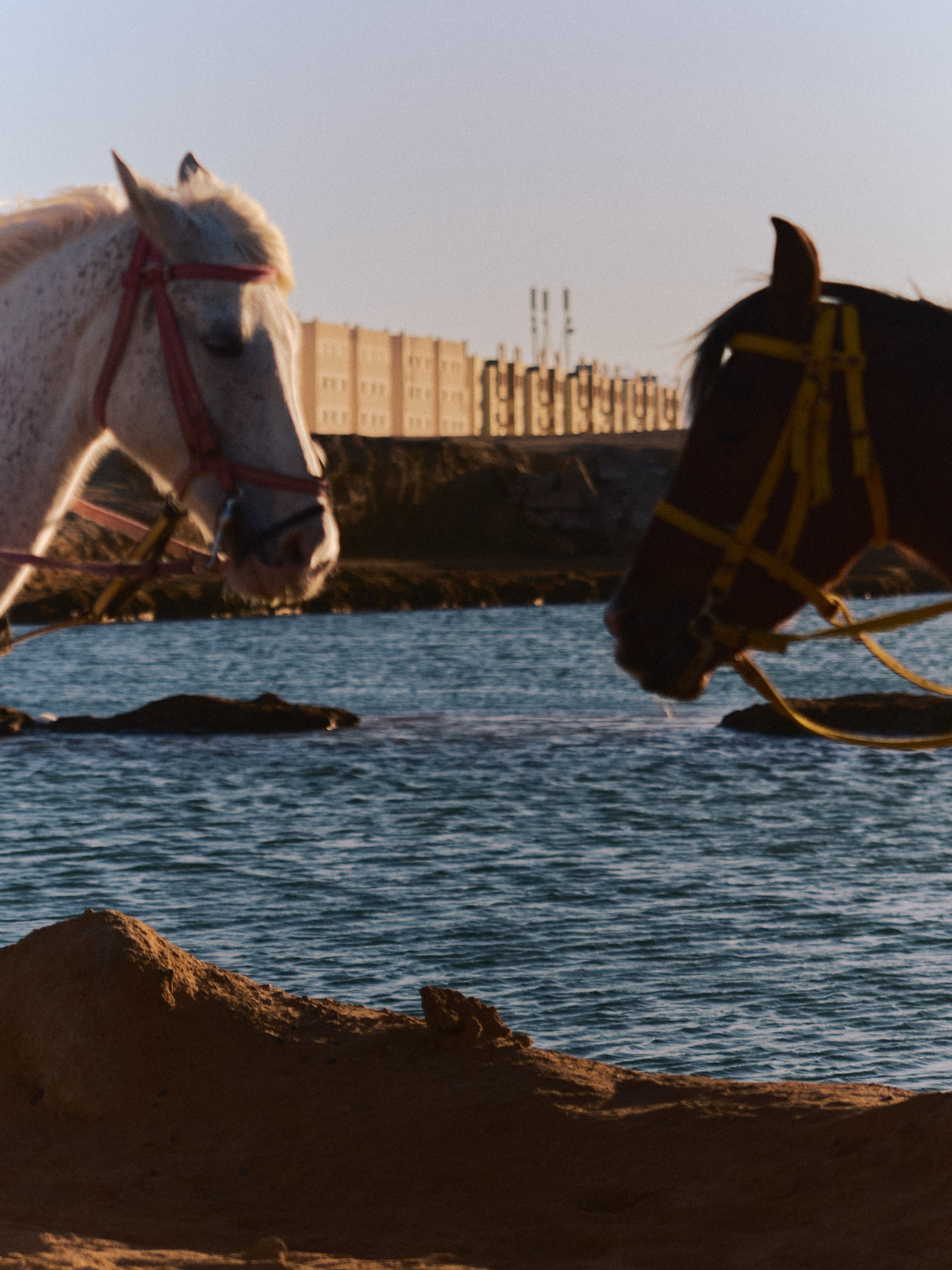 Диптих. Jorgis — фотограф в Хургаде / обучение фотографии