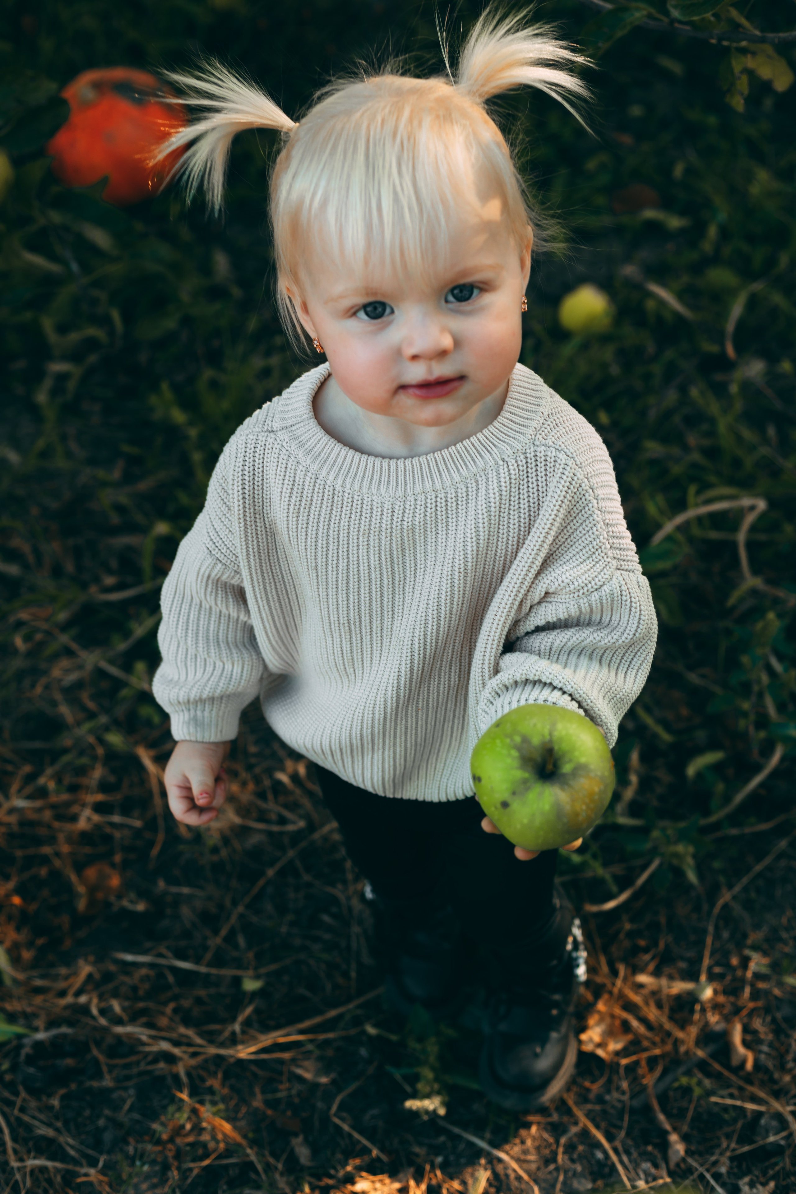 Детская фотосессия в тыквах. Свадебный и семейный фотограф в Краснодарском крае Мария Данилкина