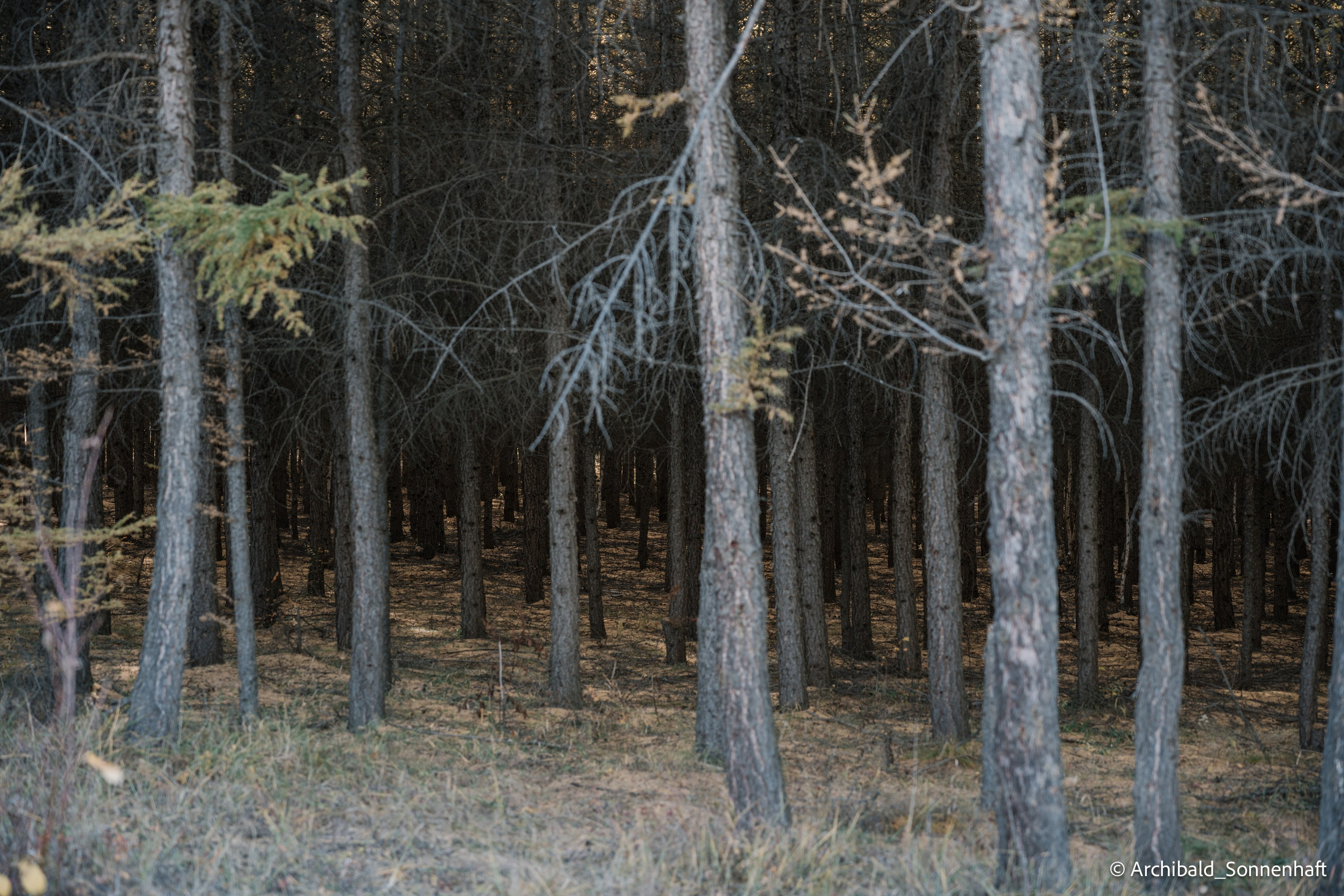 Inner mongolia. Photographer in Guangzhou, China. Archibald Sonnenhaft