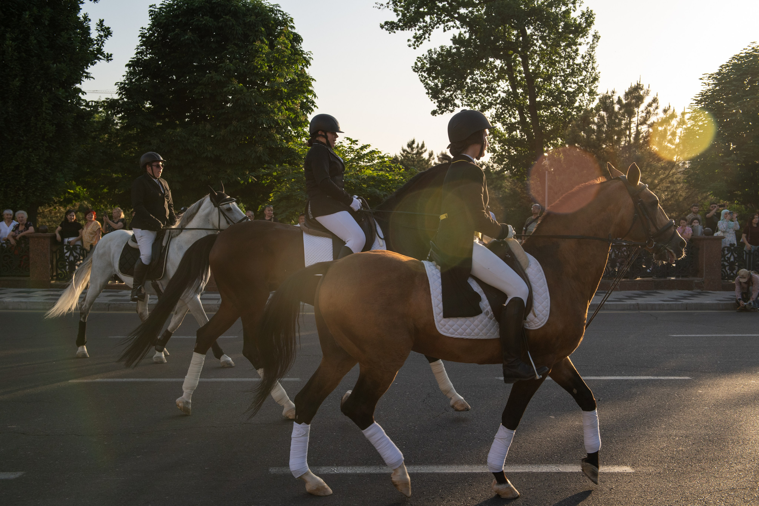 Конный парад в Ташкенте. Репортажный, спортивный и документальный фотограф в Ташкенте Алексей Елисеев