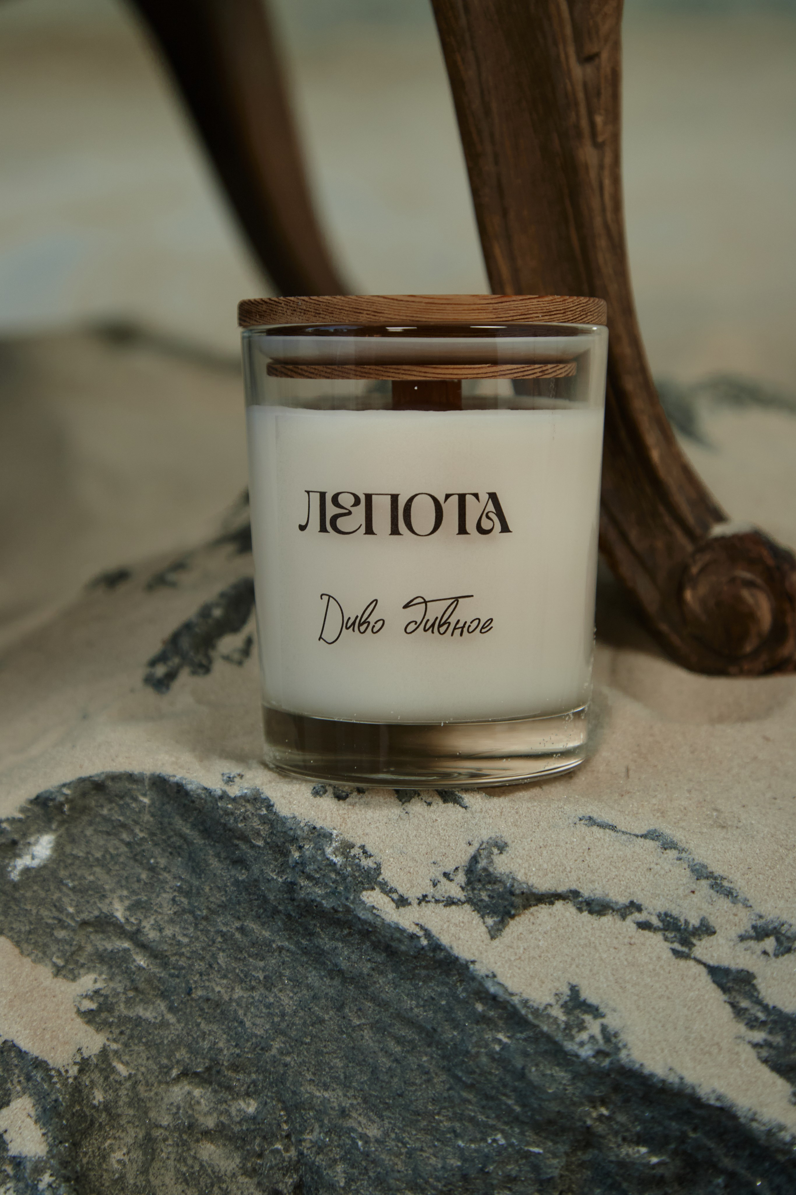 LEPOTA. Smirnova Liza