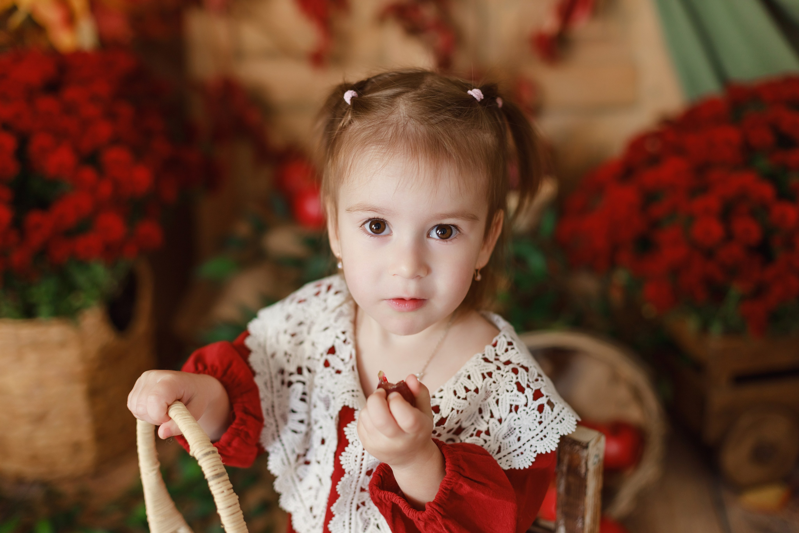 Гранаты 2024. Детский и семейный фотограф в Краснодаре Альбина Морозова