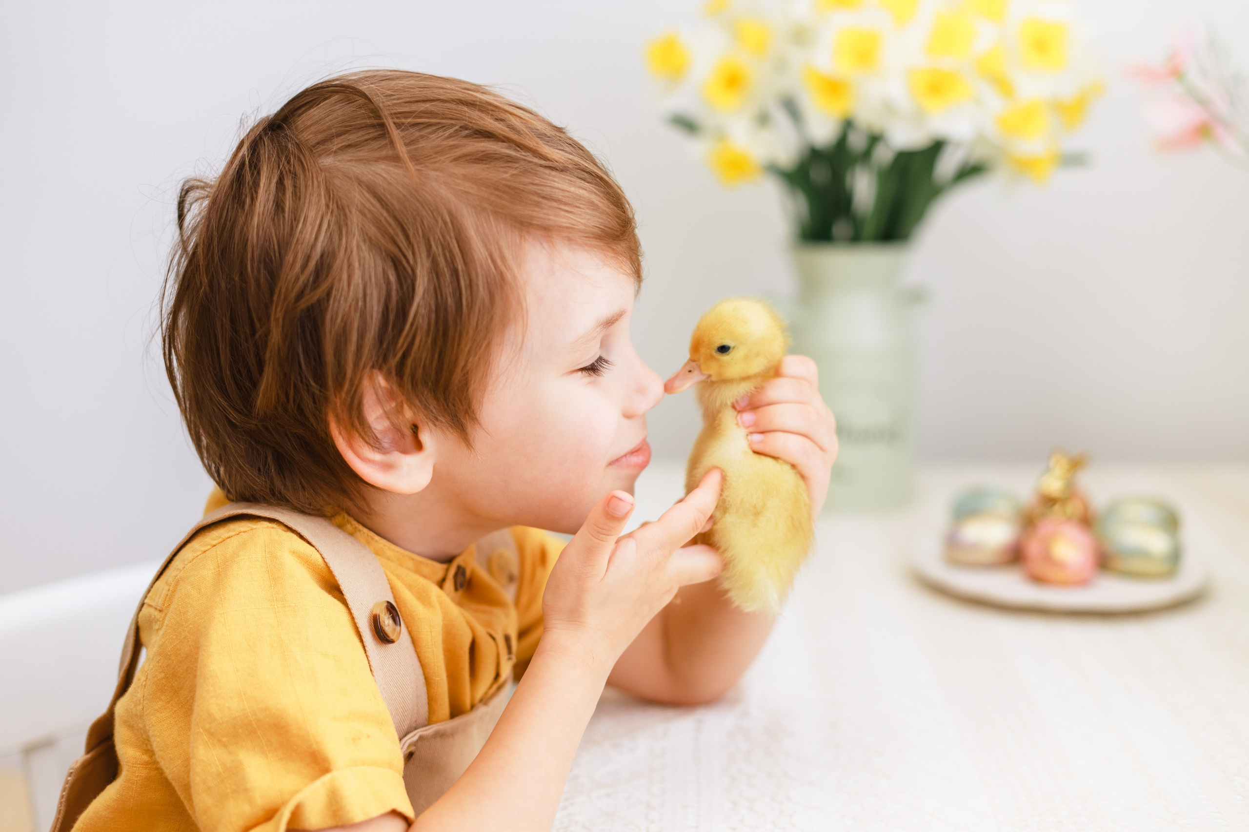 Фотосессия с утятами. Детский и семейный фотограф в Краснодаре Альбина Морозова