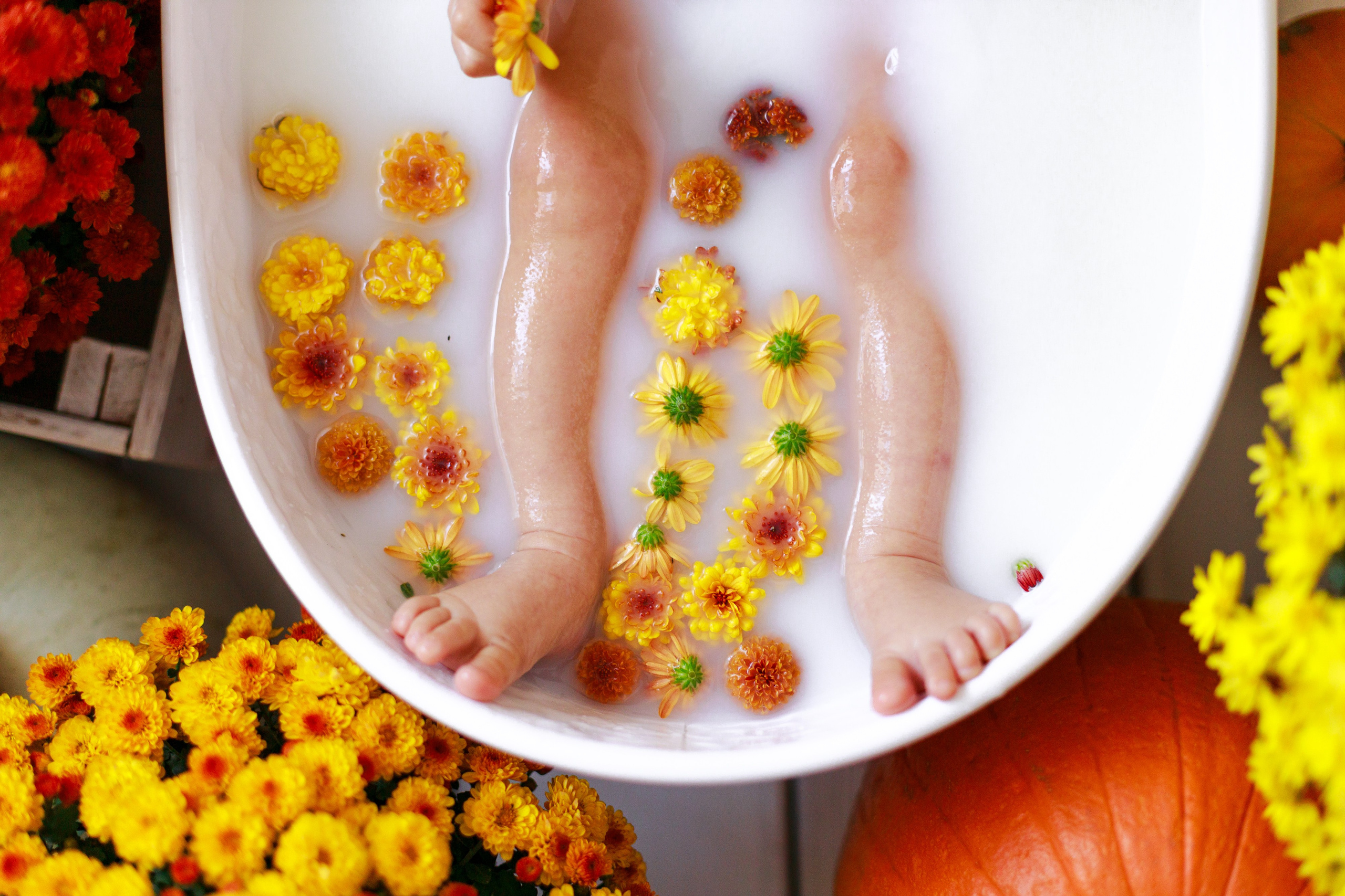 Осенняя детская фотосессия с тыквами и кроликом в Краснодаре. Детский и семейный фотограф в Краснодаре Альбина Морозова