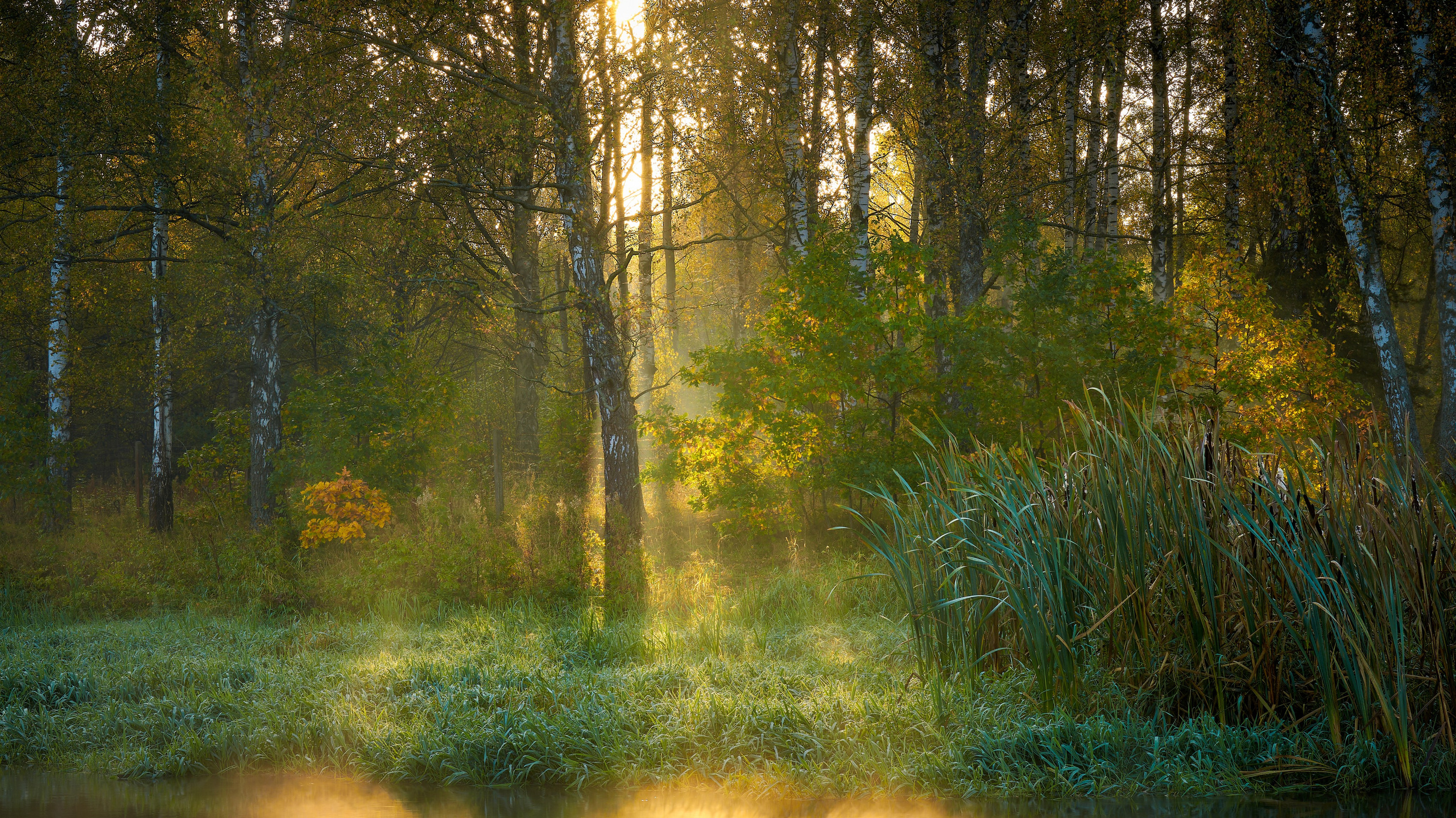 Пейзаж. Ваш личный фотограф в Москве Алексей Павлов