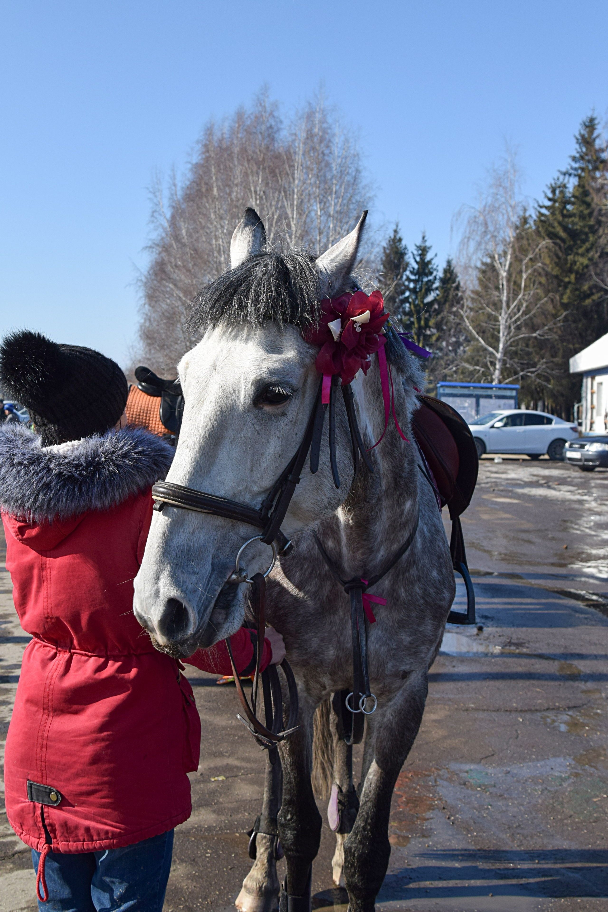 Масленица село Вязовка, 2019–2020 гг. Конный фотограф в Саратове Юлия Иванова