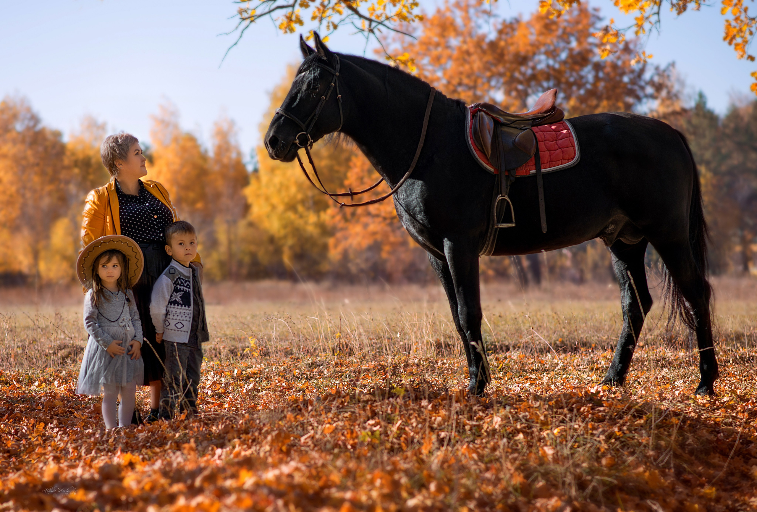 Семейная съемочка с Пиратом. Конный фотограф в Саратове Юлия Иванова