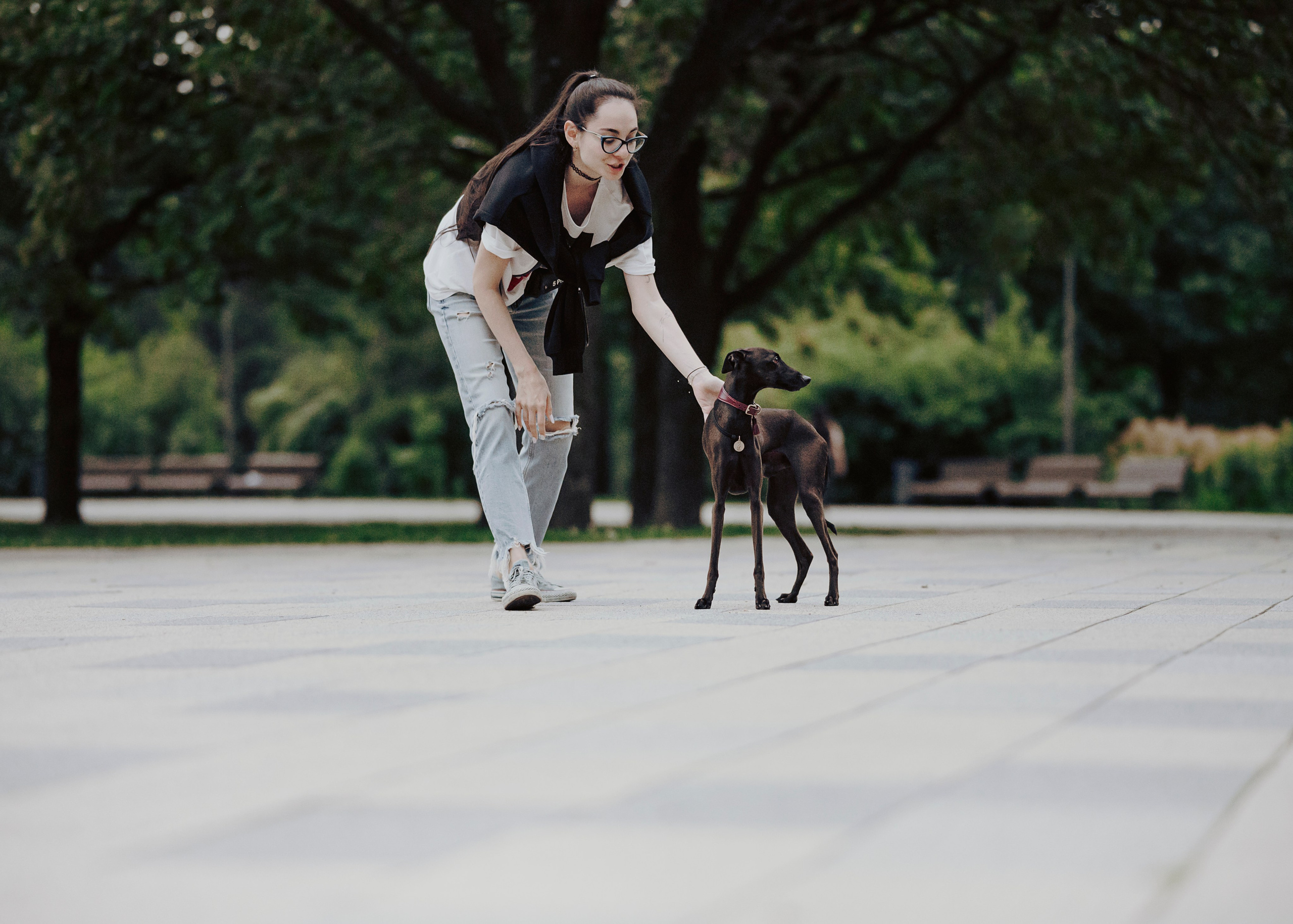 Дофи. Фотограф- анималист Александра Матвеева