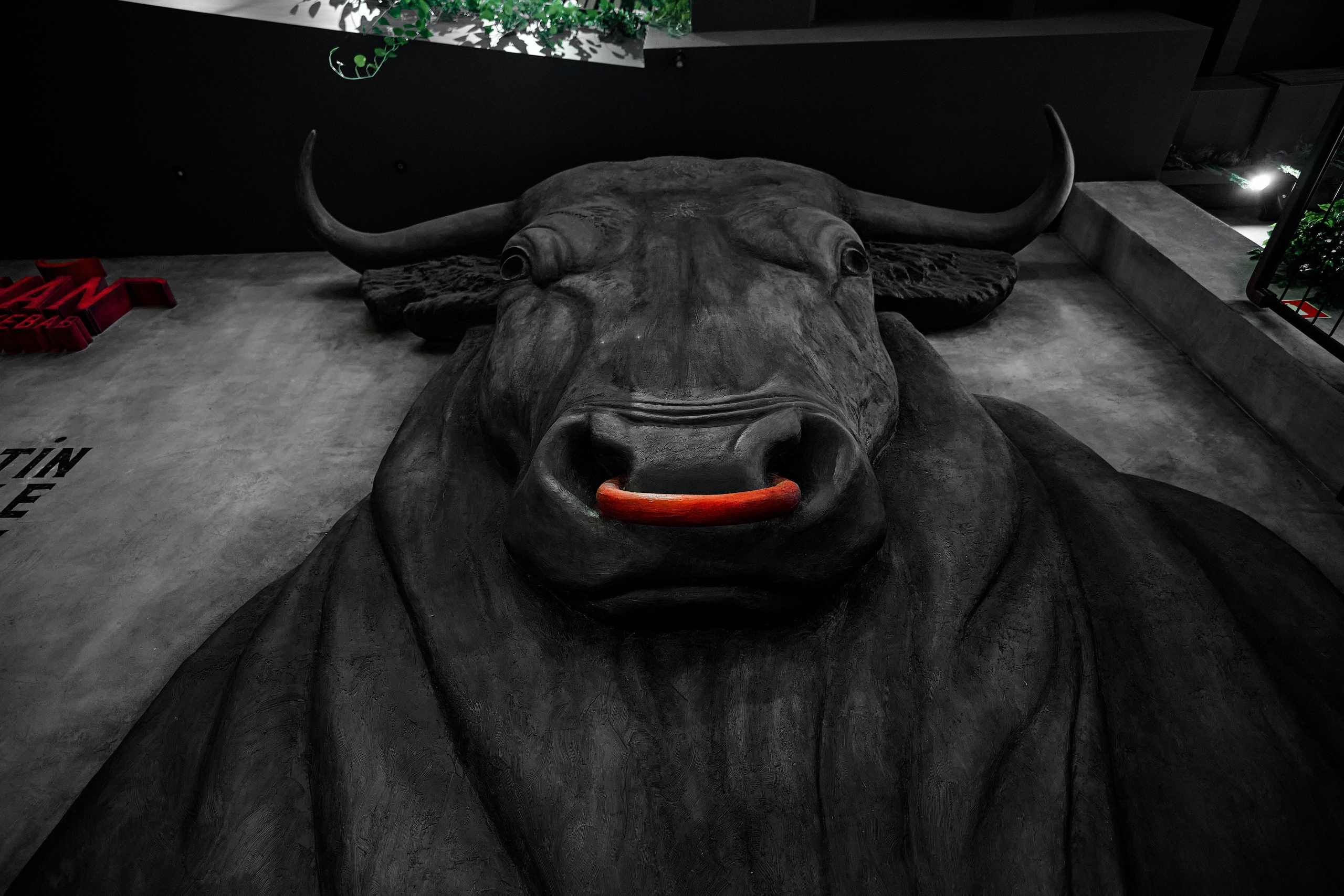 Light Media — креативный видеопродакшн