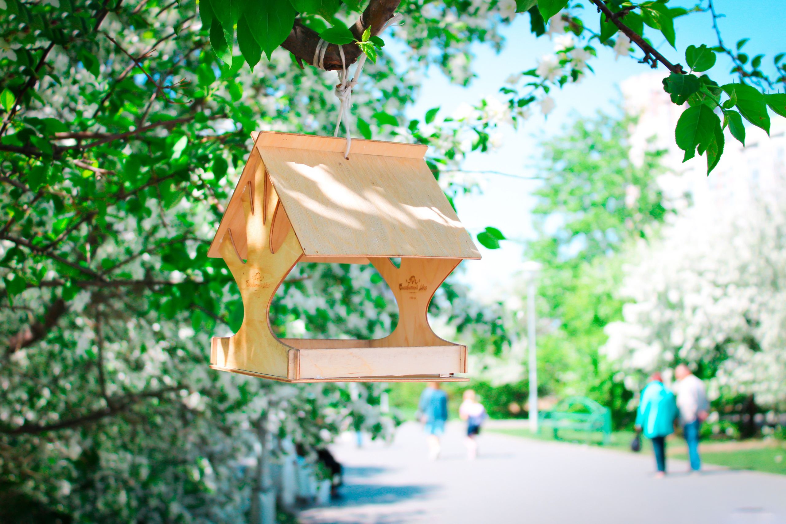 Вдохновение. Бутакова Елена фотограф в Екатеринбурге