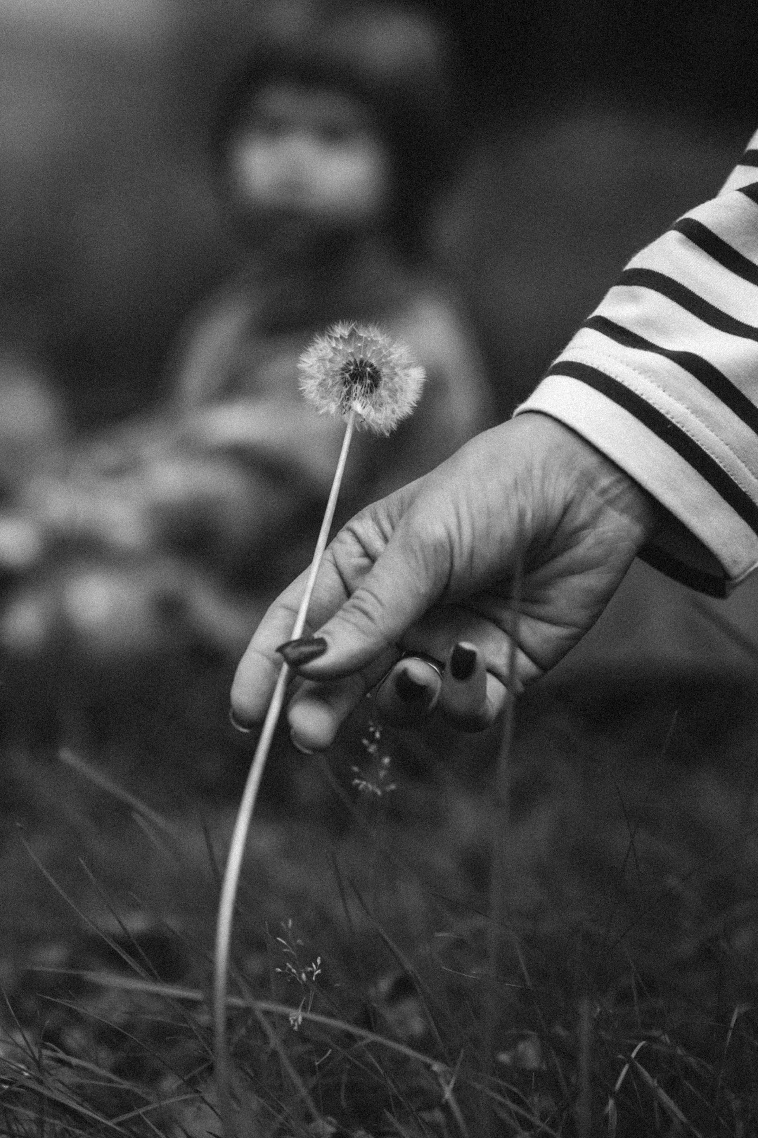 Красота есть вечное настоящее. Семейный и свадебный фотограф