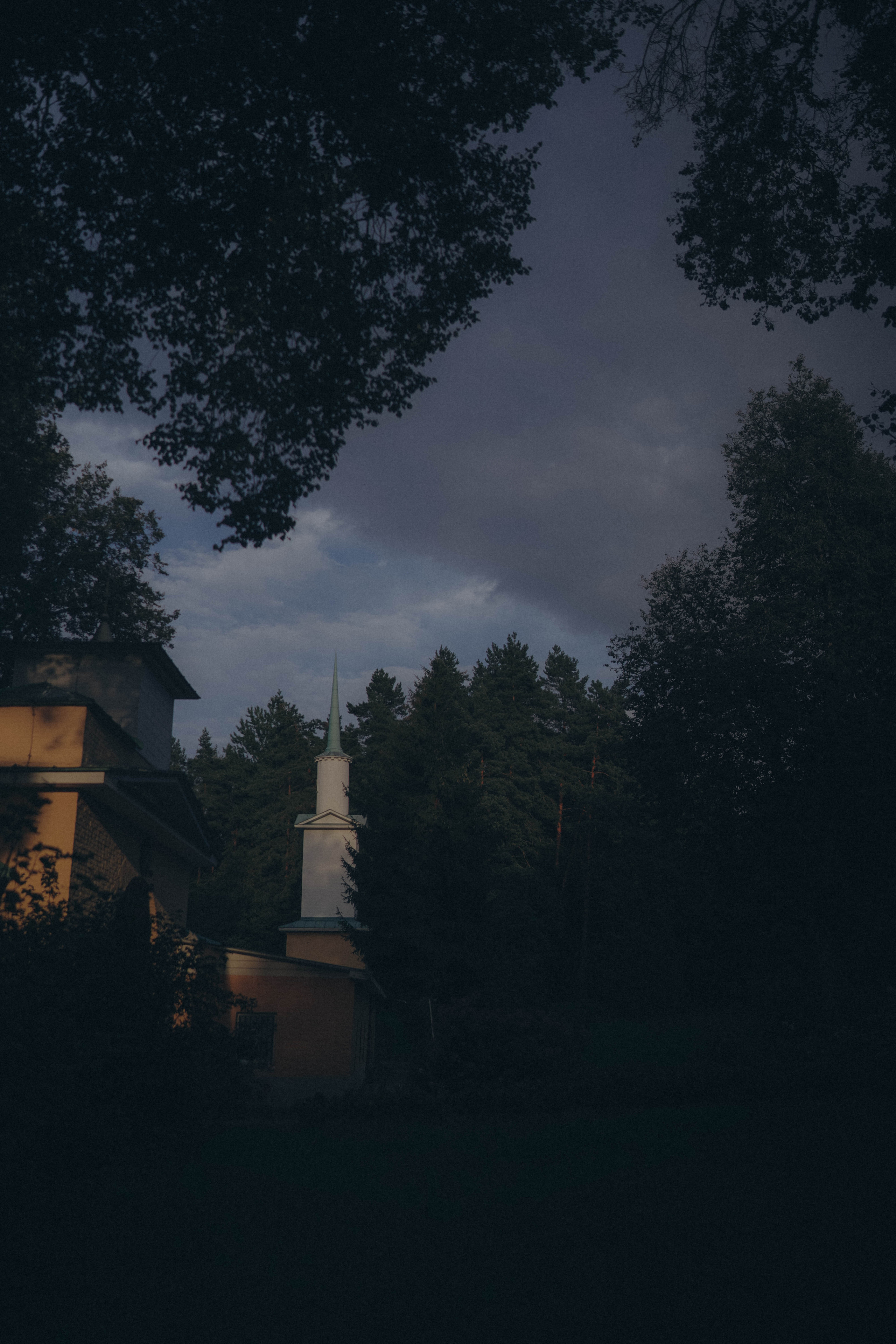 Красота есть вечное настоящее. Семейный и свадебный фотограф