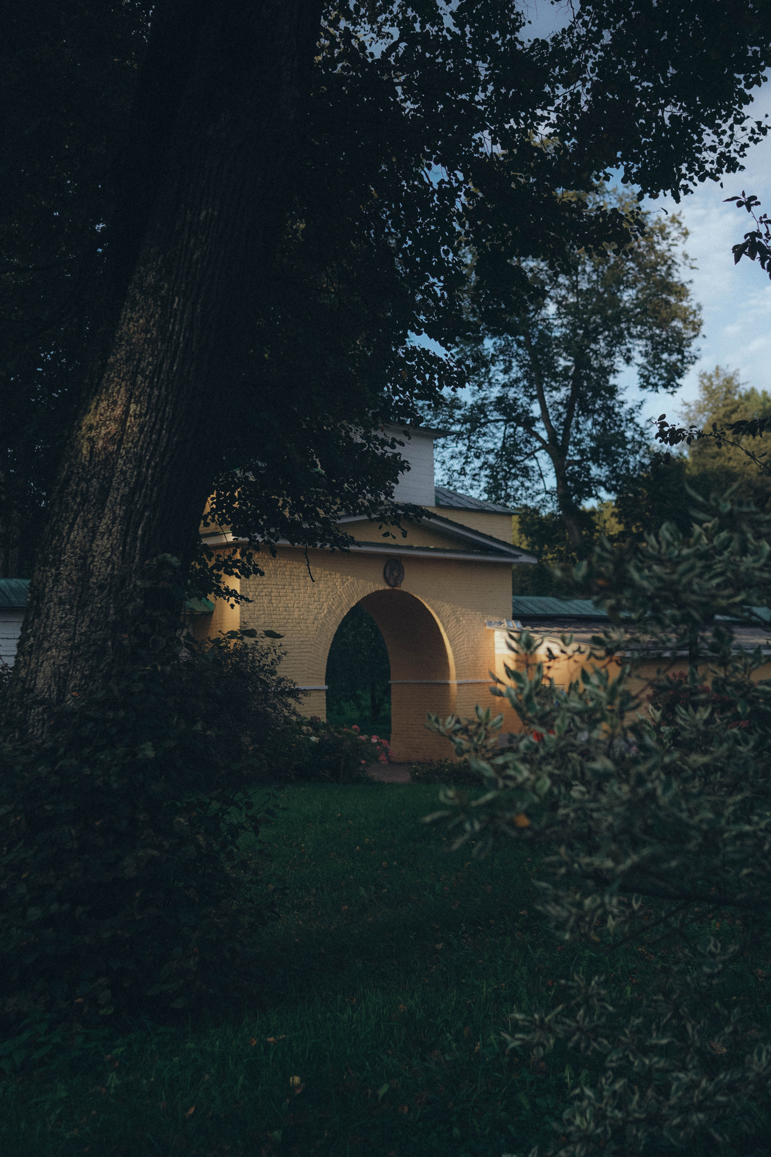 Красота есть вечное настоящее. Семейный и свадебный фотограф