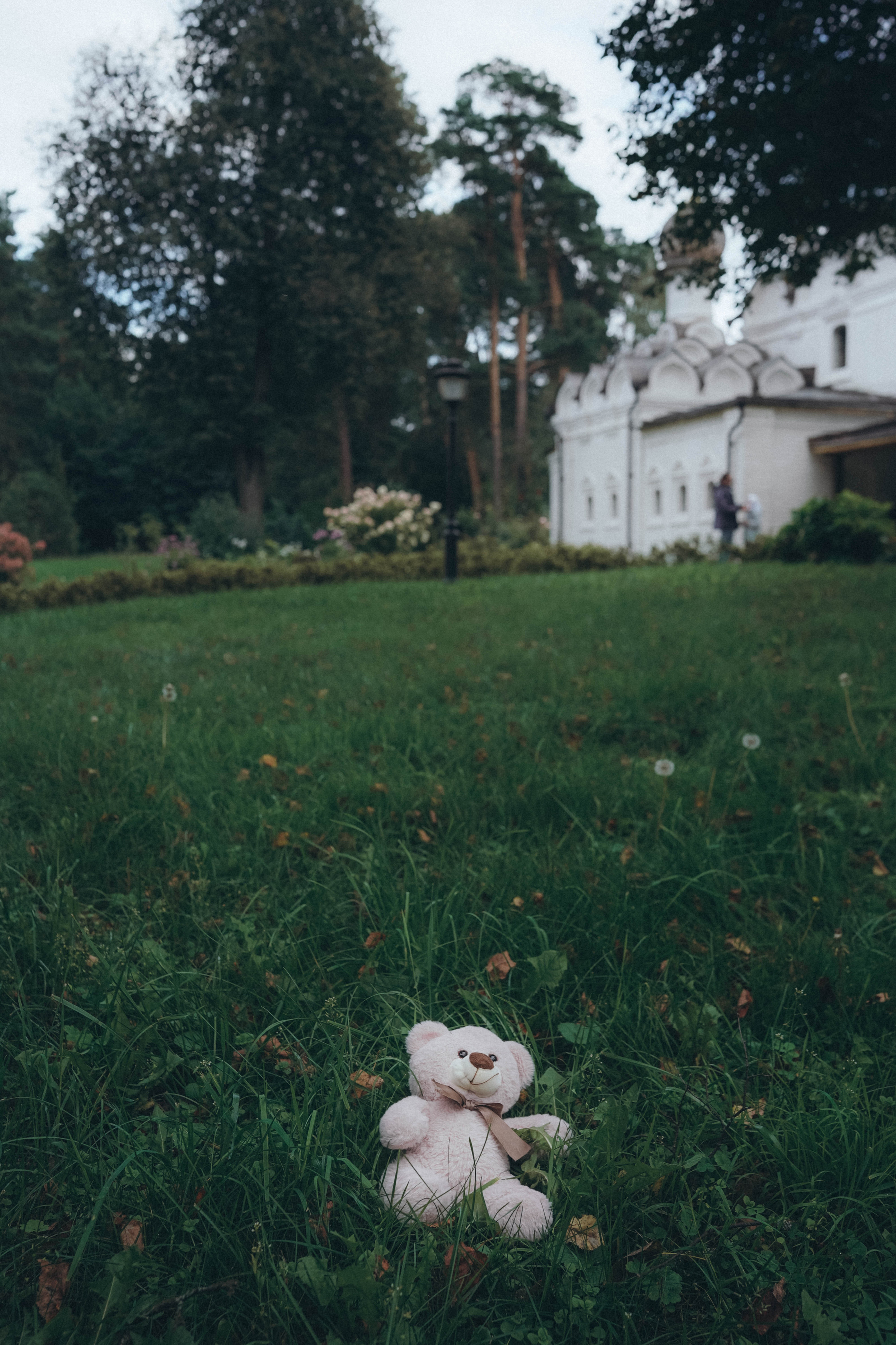 Красота есть вечное настоящее. Семейный и свадебный фотограф