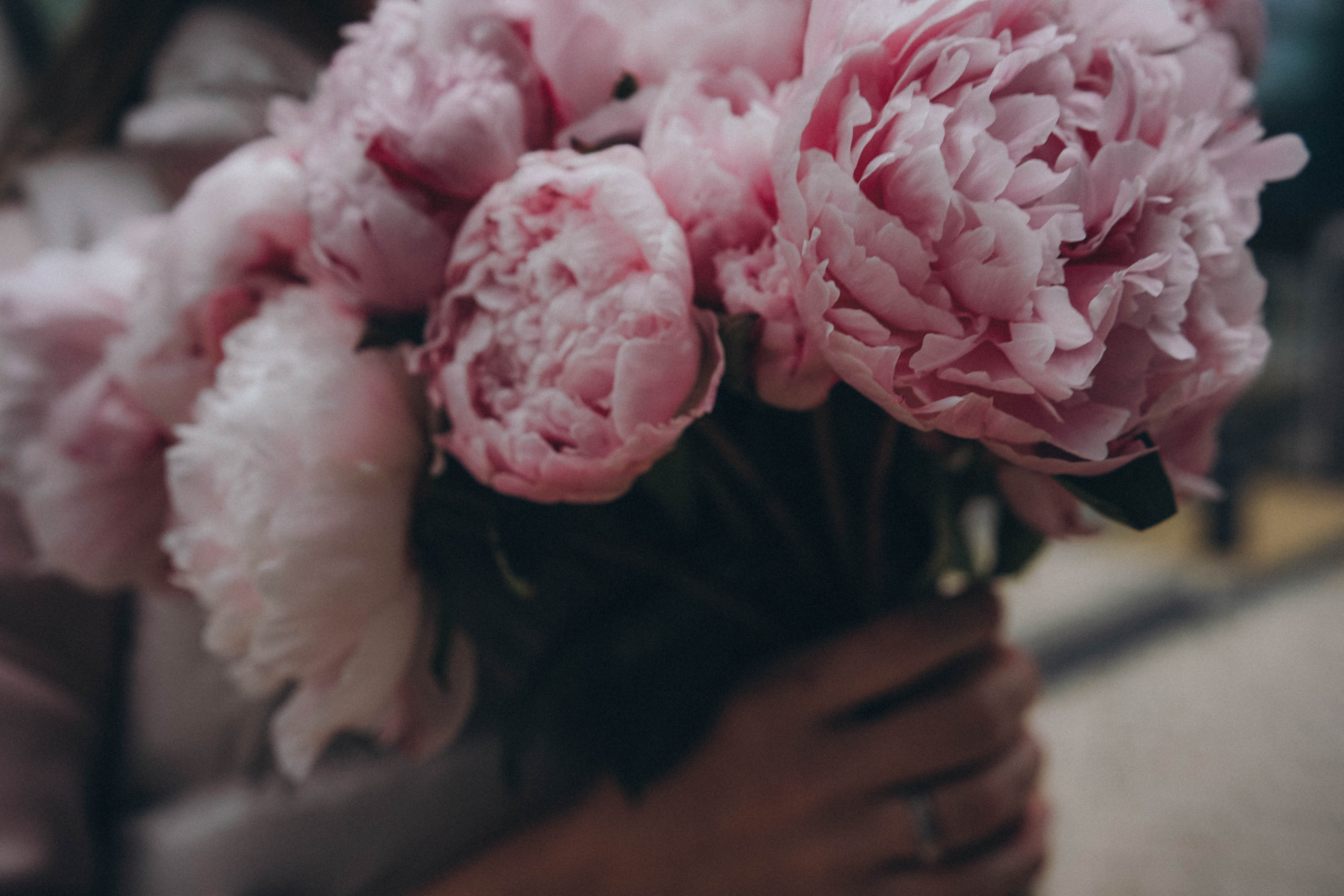 Как в мечтах. Семейный и свадебный фотограф