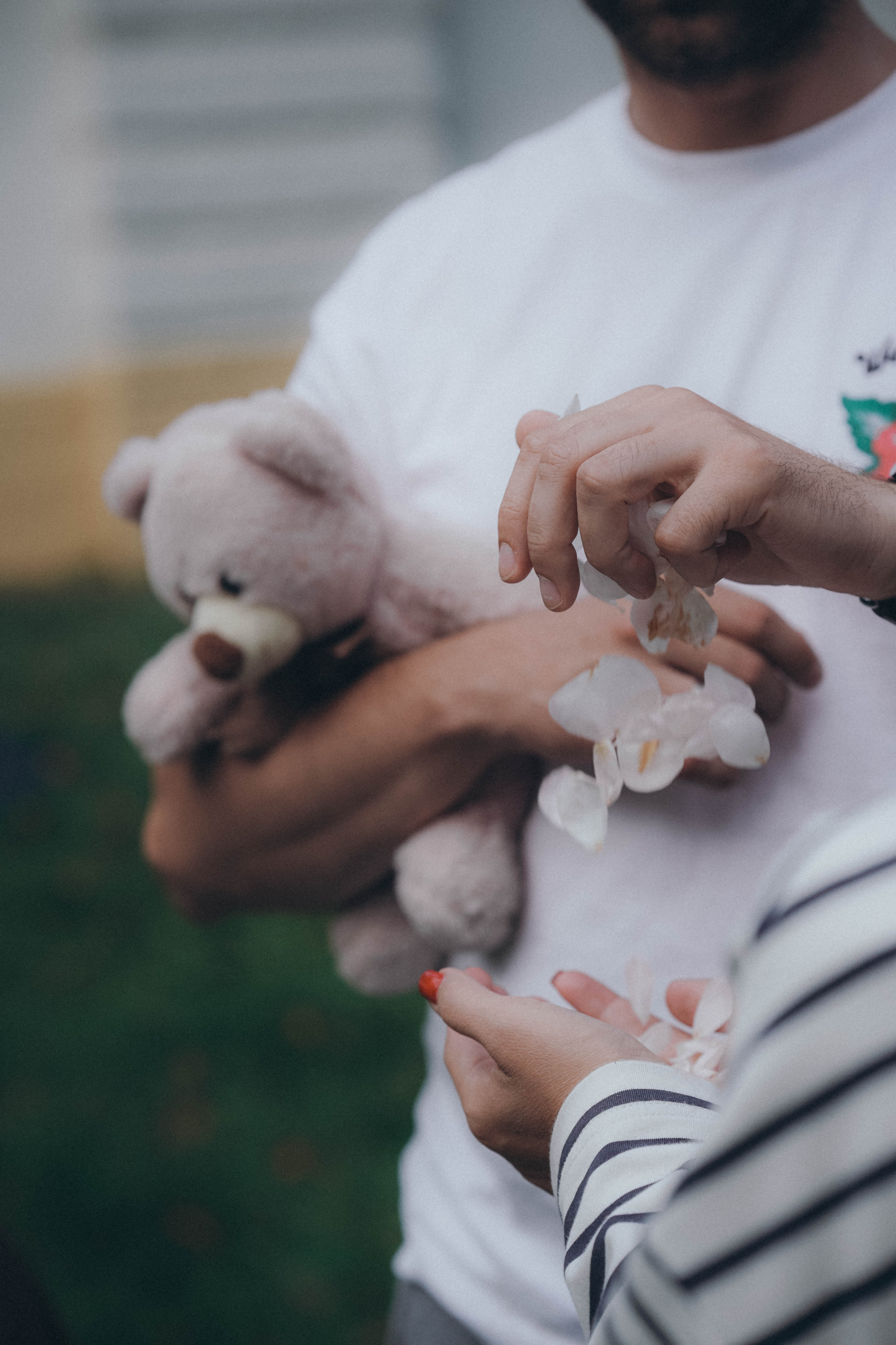 Красота есть вечное настоящее. Семейный и свадебный фотограф