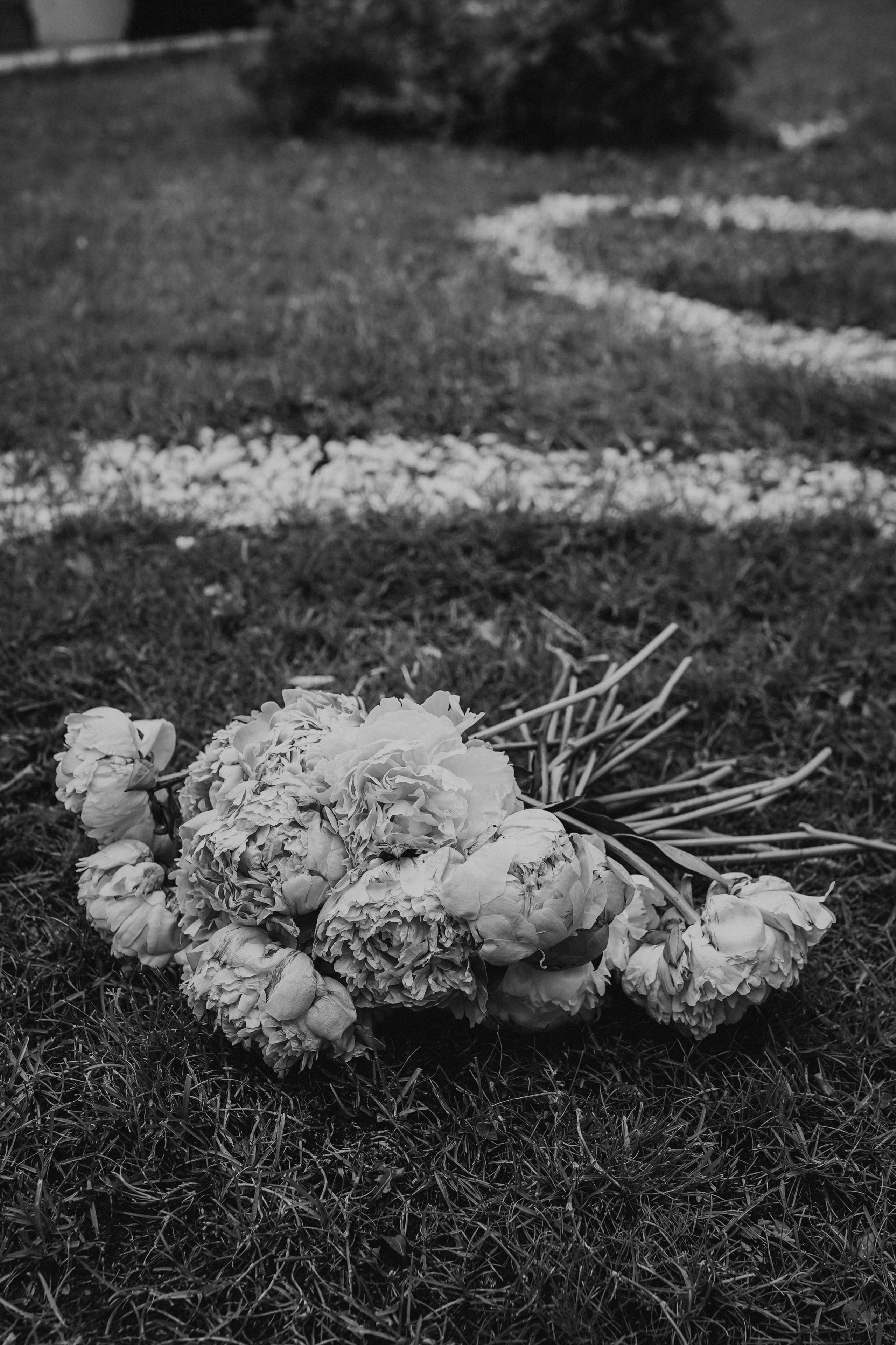 Как в мечтах. Семейный и свадебный фотограф