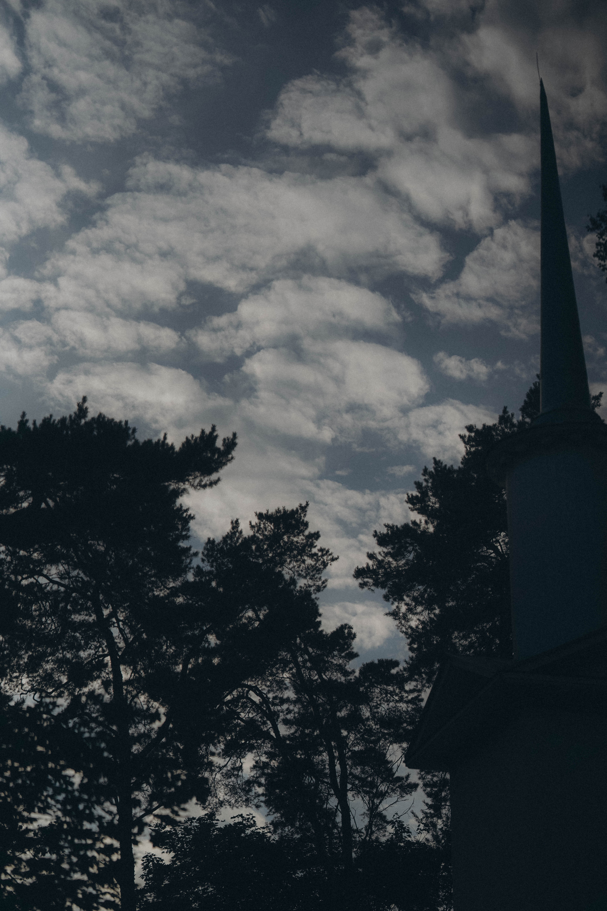 Красота есть вечное настоящее. Семейный и свадебный фотограф