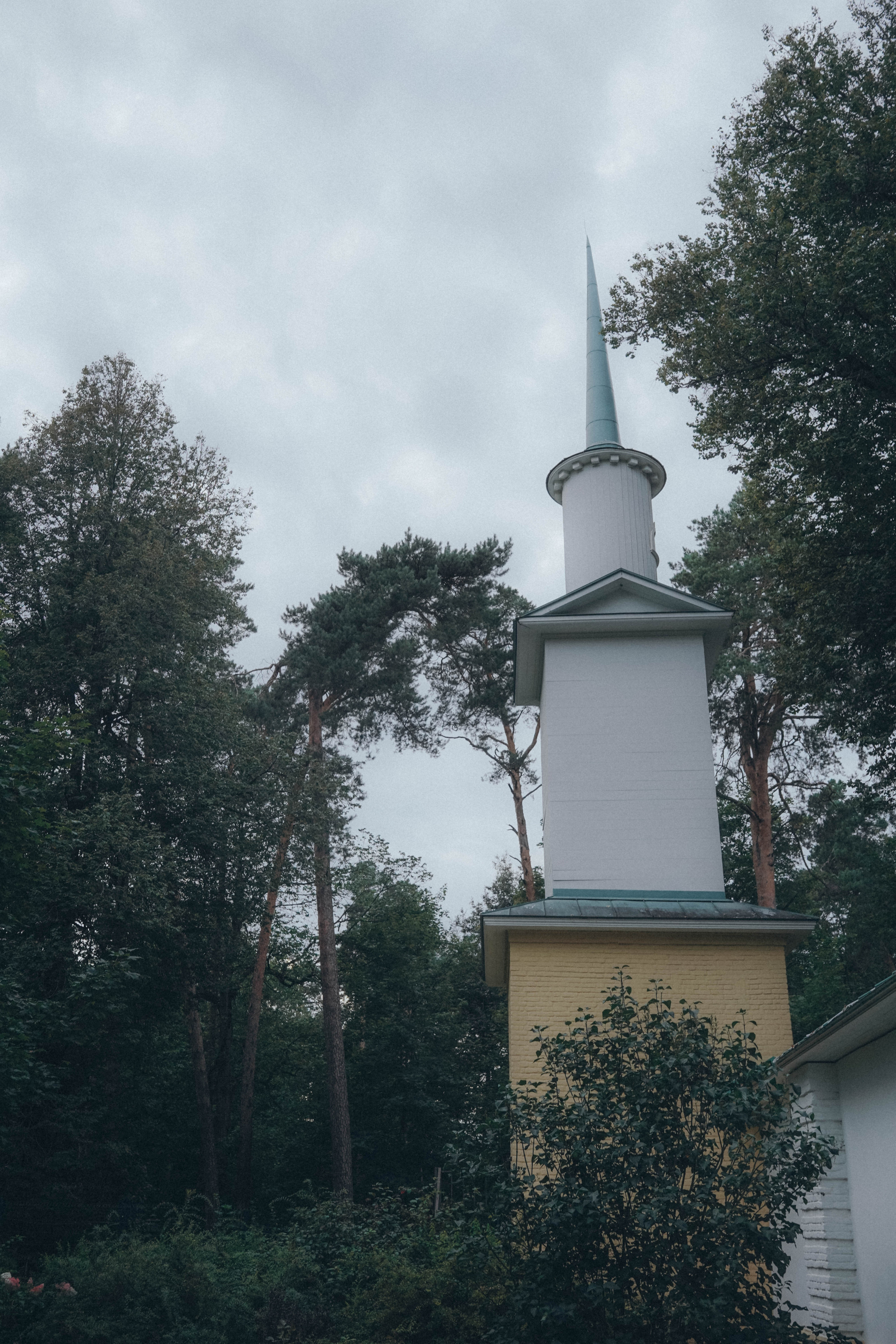 Красота есть вечное настоящее. Семейный и свадебный фотограф