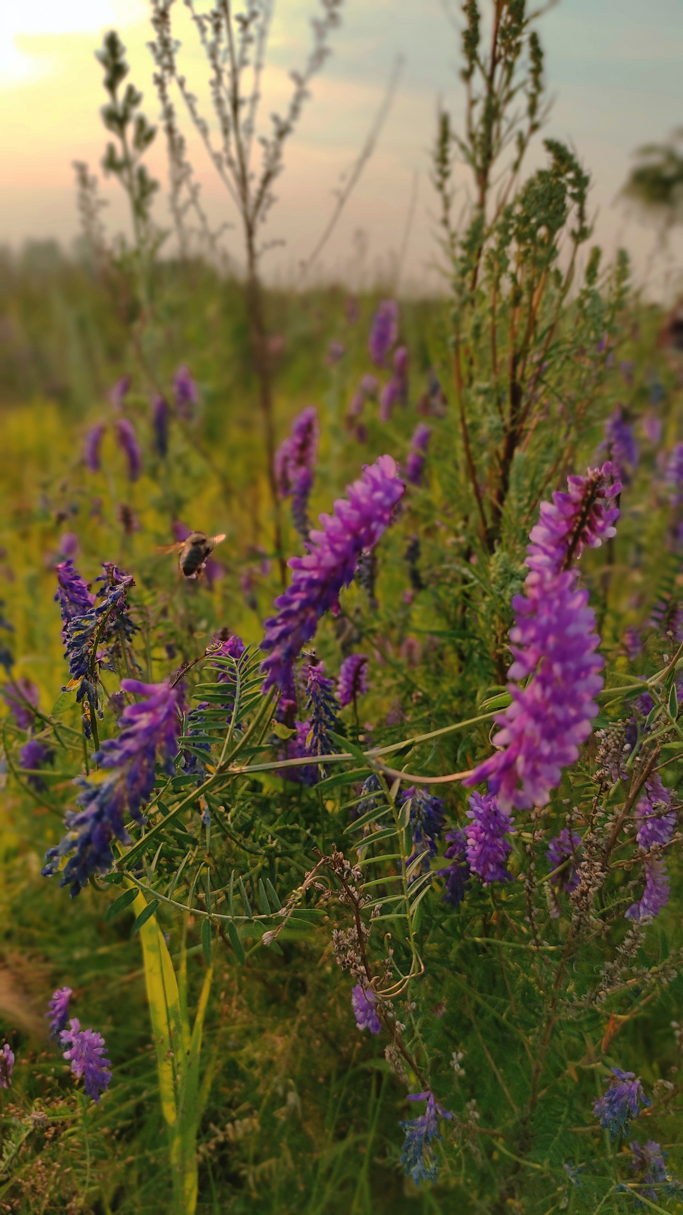 Вдохновение. Бутакова Елена фотограф в Екатеринбурге