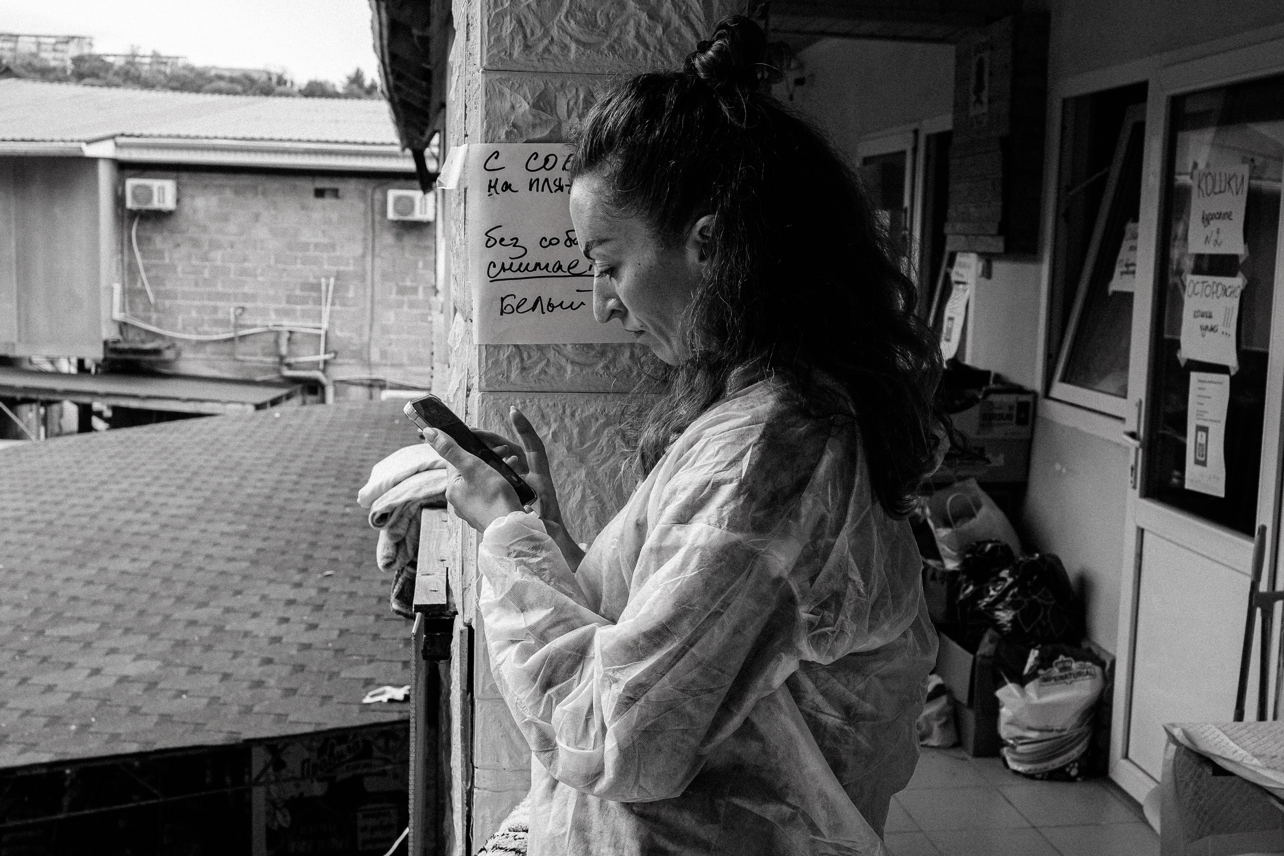 Шанс на жизнь (Животные пострадавшие в Туапсе). Фотограф Денис Труштин | dentrushtin