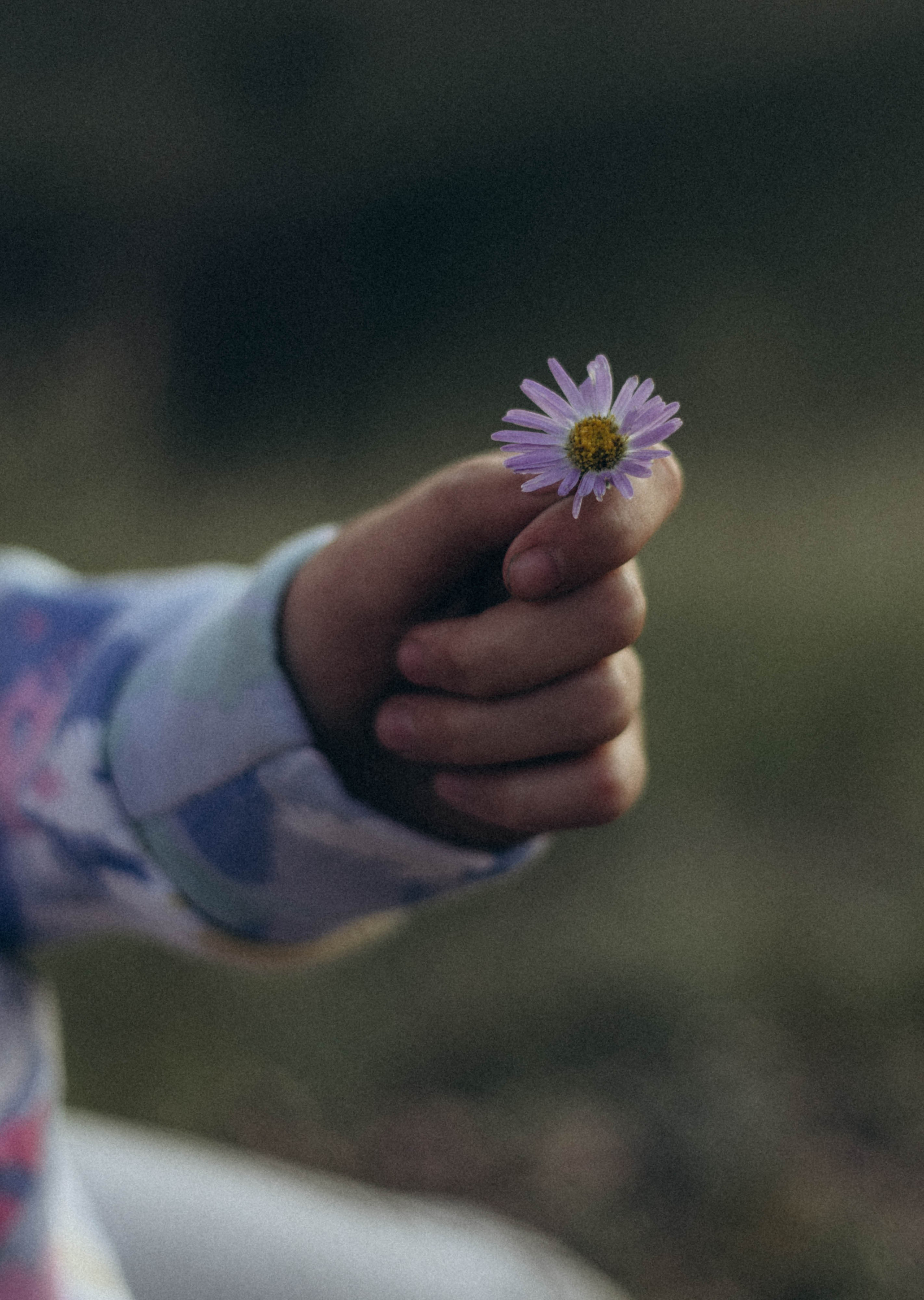 Юля и Яна. Семейный и детский лайфстайл фотограф Юлиана Дрот Красноярск