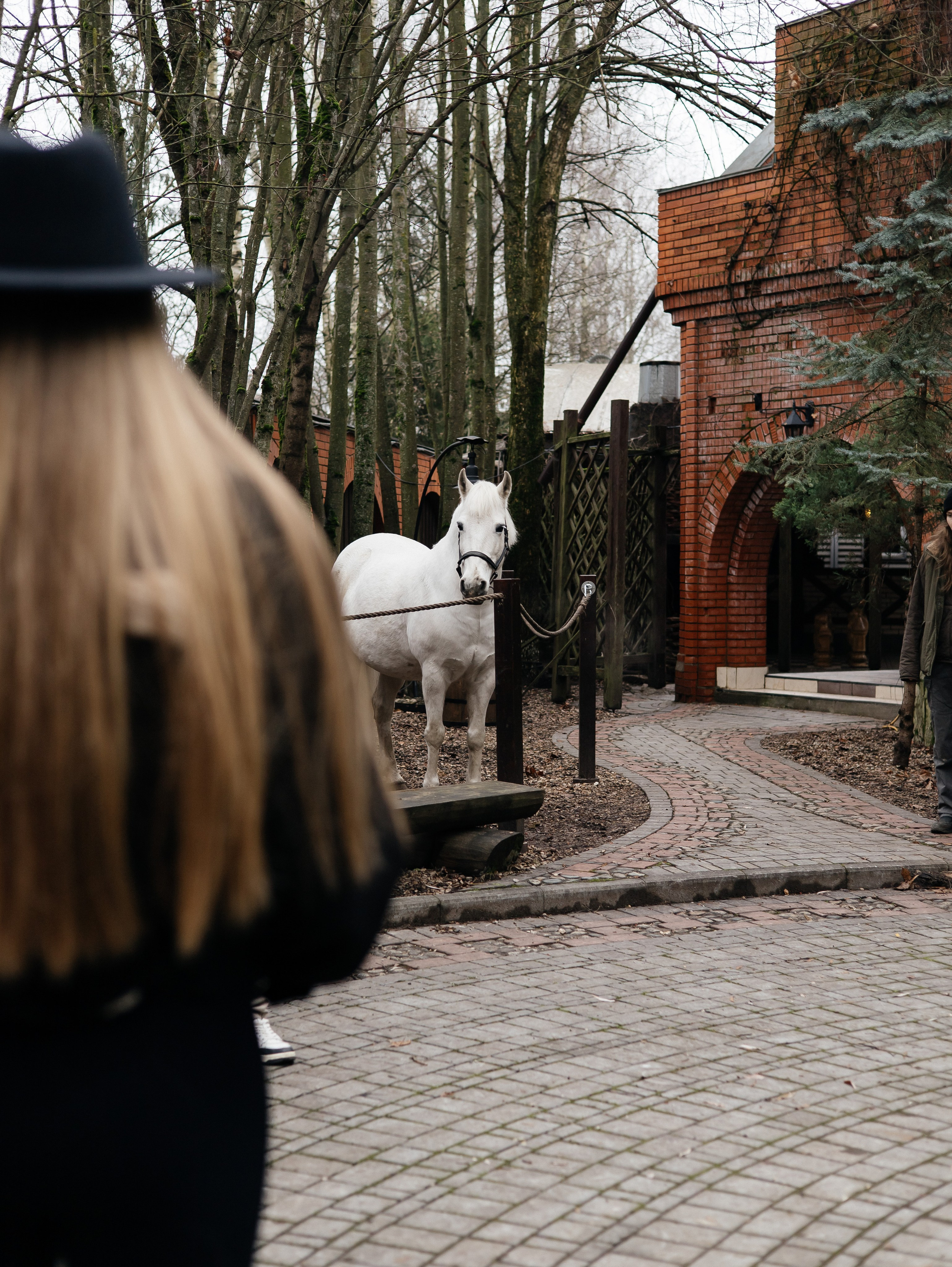 Ферма «Few Horses». Фотограф | портрет | бренды | репортаж