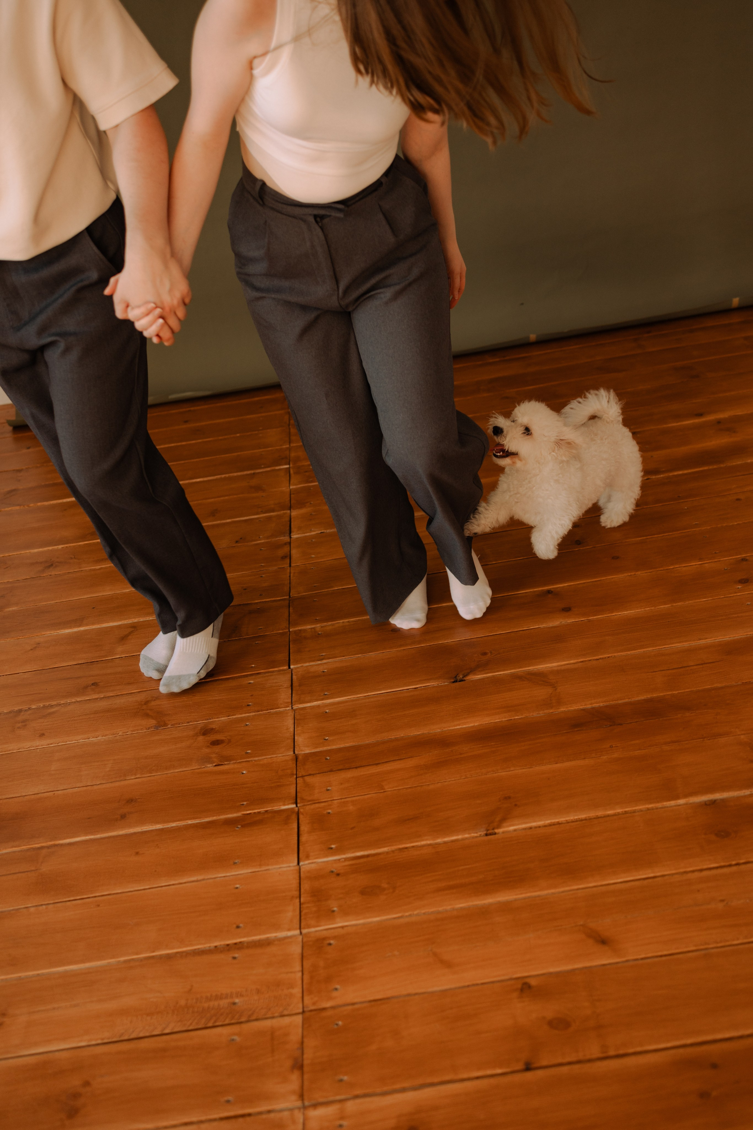 Луна и ее семья. Фотограф — Анималист | Санкт-Петербург