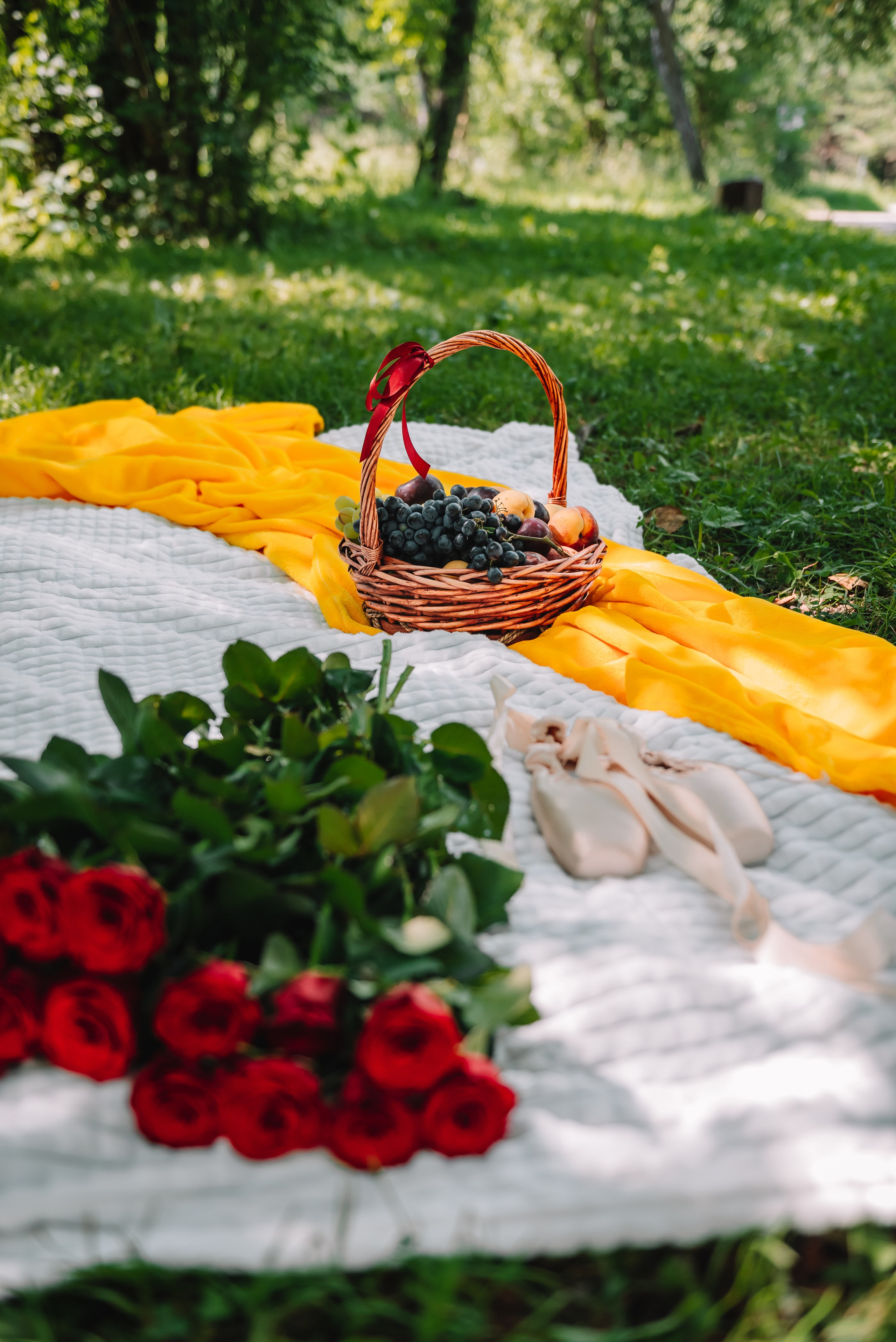 LEVITA (пикник)