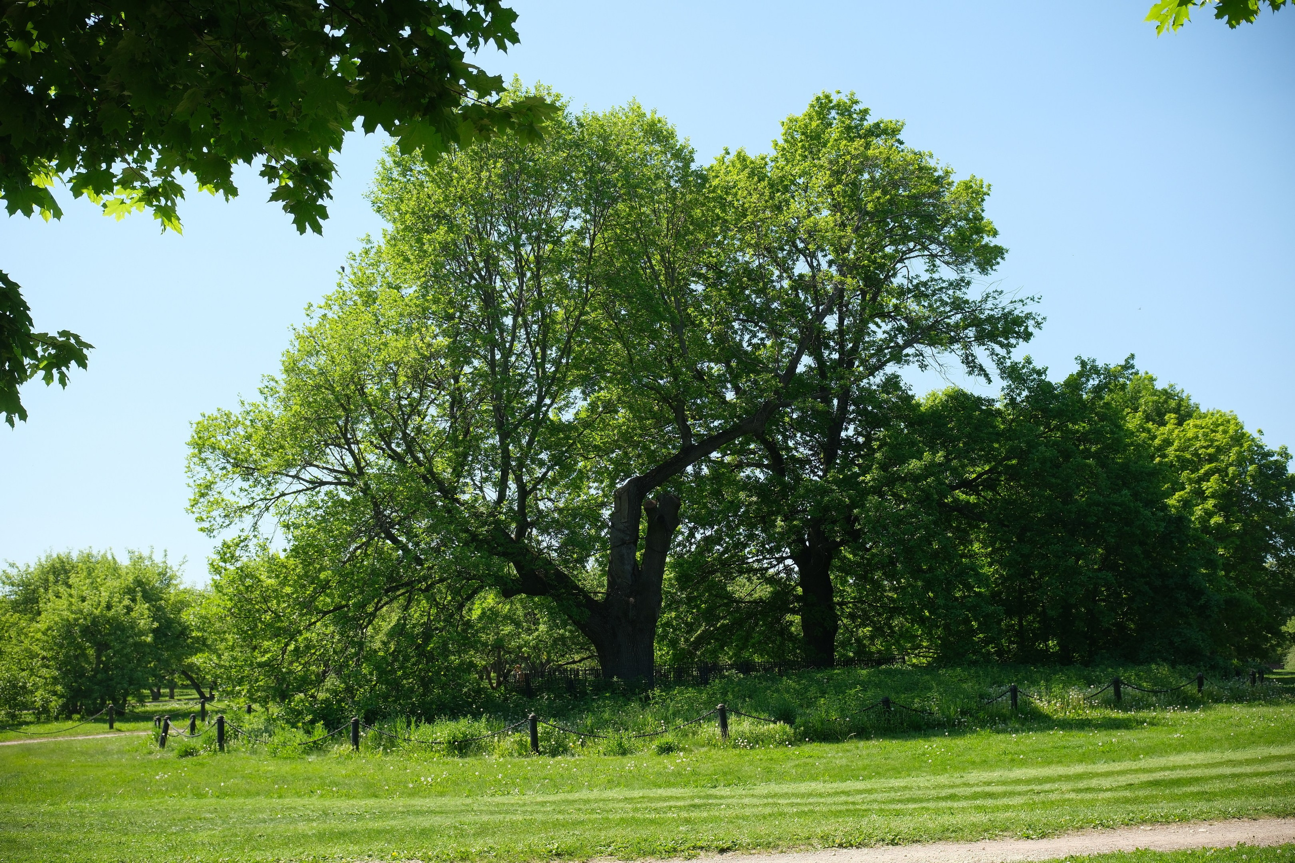 Коломенское 2024. Улица, люди, жизнь…