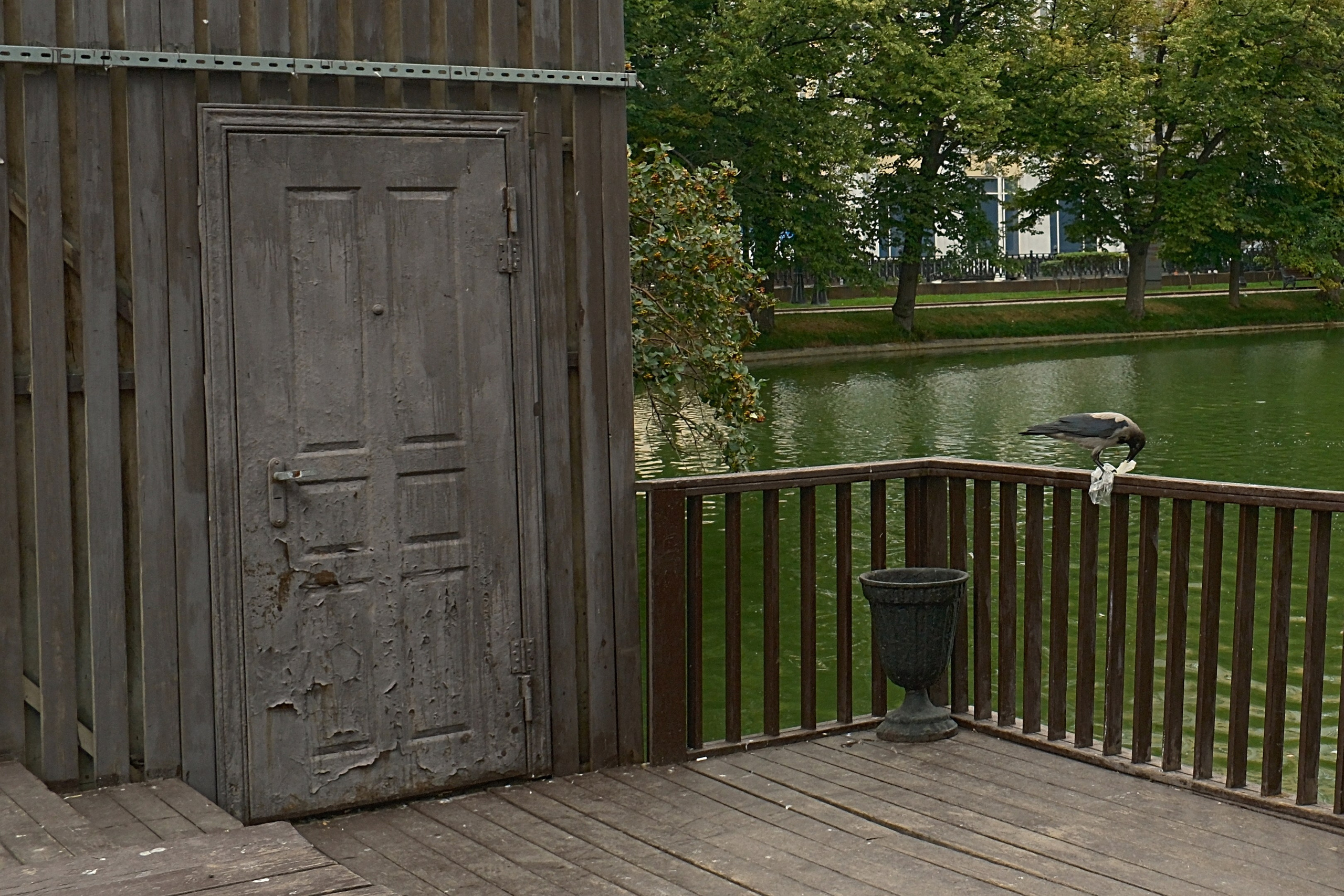 Август 2025. Улица, люди, жизнь…