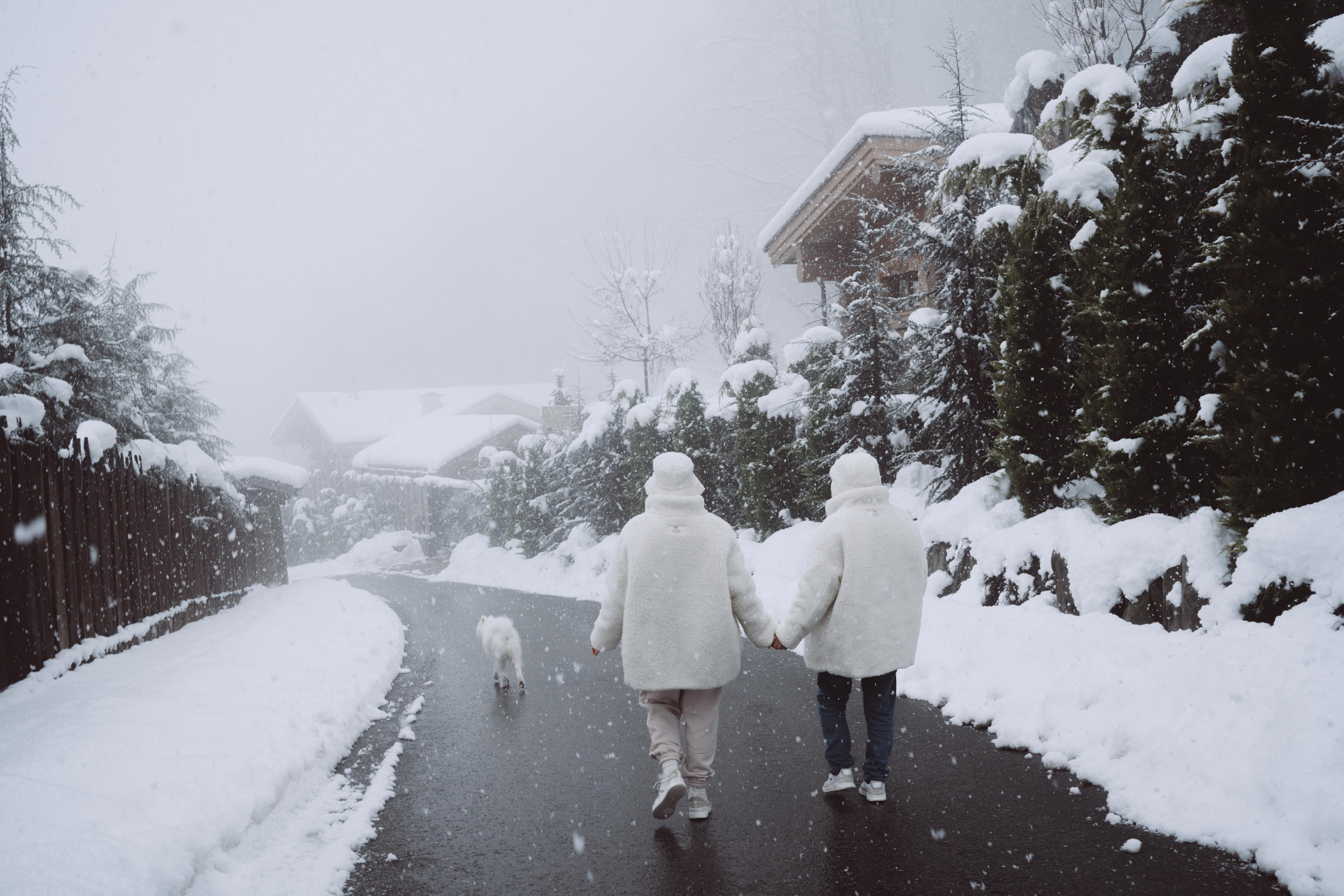 Антон, Дарья и Шани. Фотограф в Сочи Щетинина Анастасия