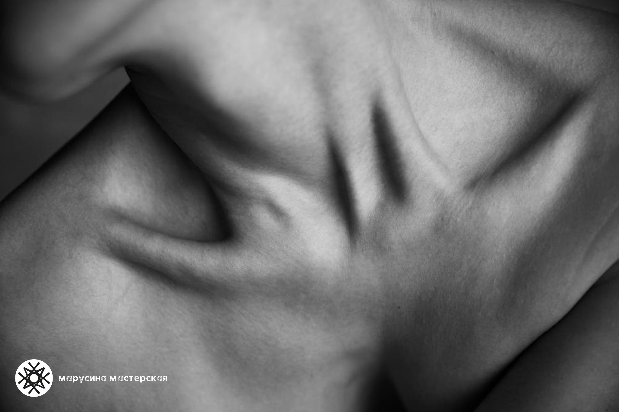 Учебная работа по построению кадра