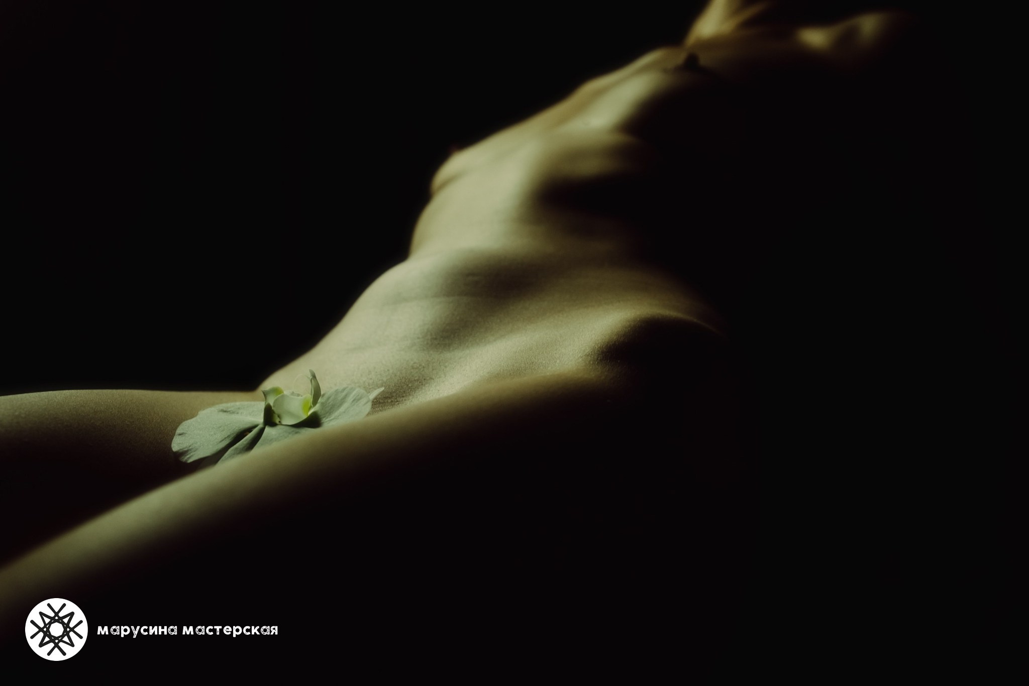 Екатерина Мартыненко