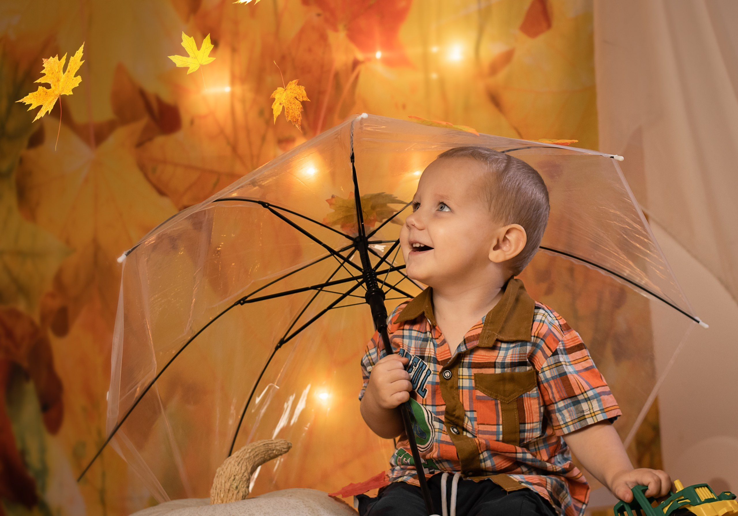 Краски осени. Фотосалон Рудня. Волгоградская область. Фотограф Вера